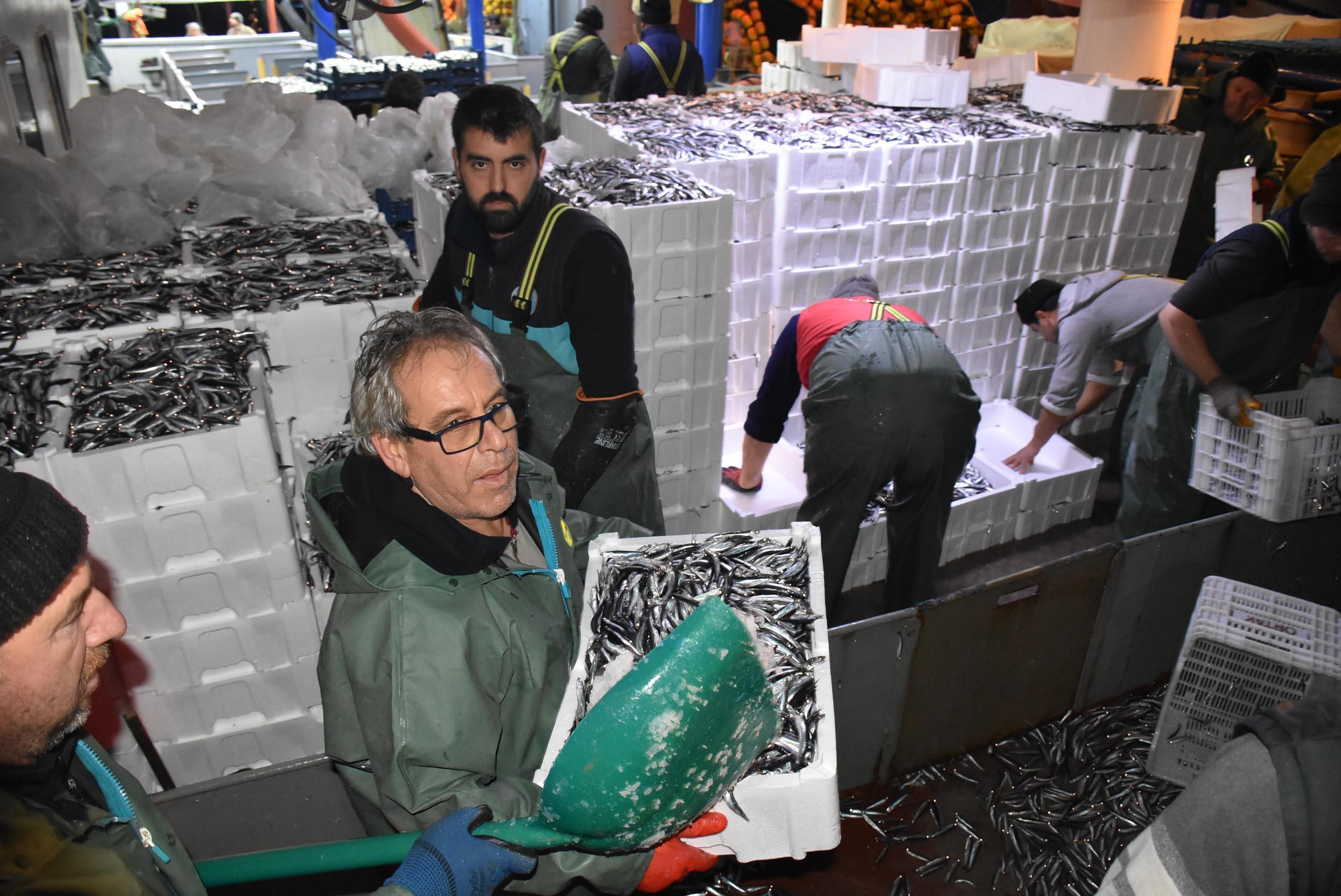 Balıkçılar, hamsi avının serbest olduğu İğneadaya akın etti