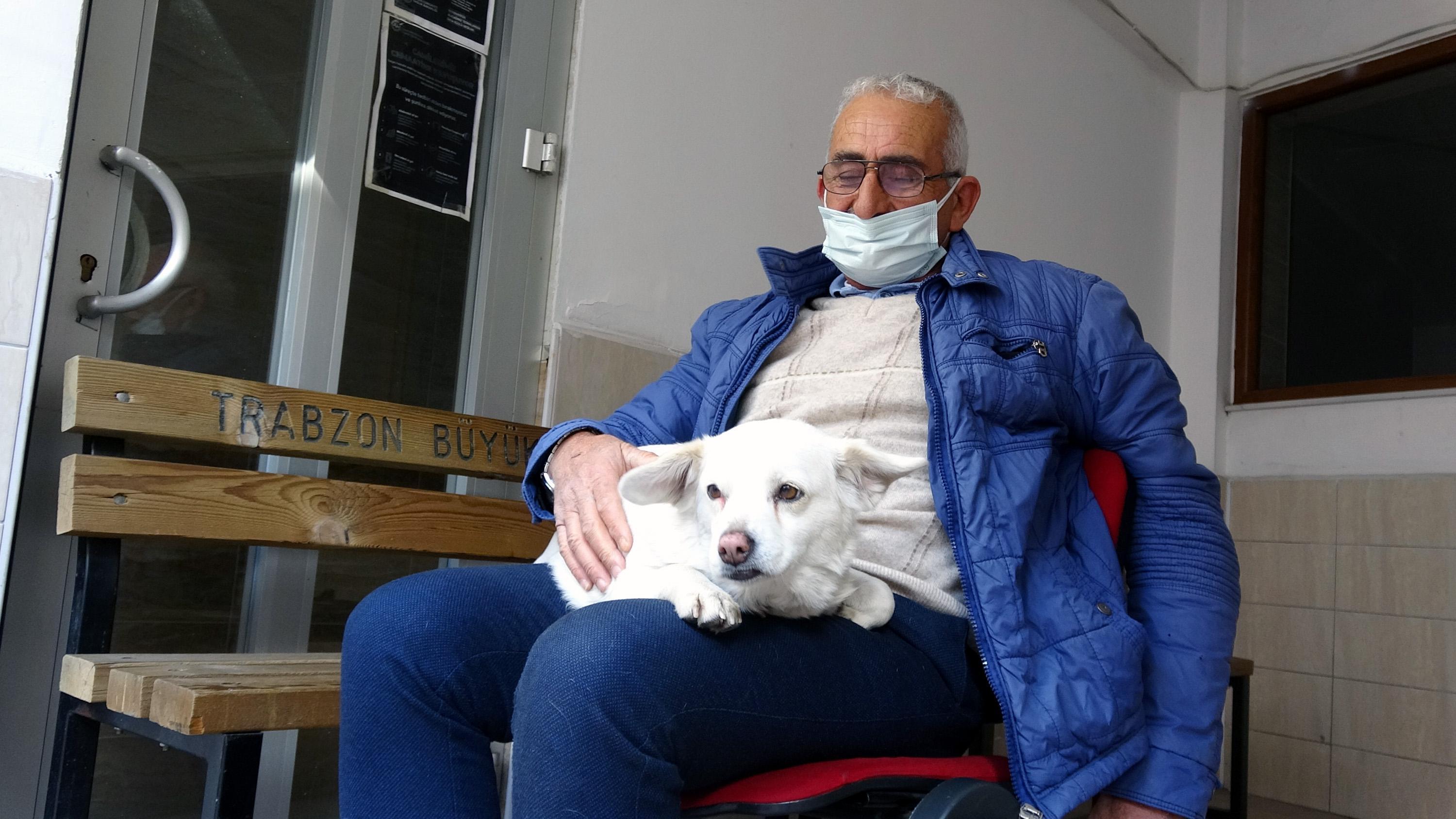 Dünya basınına manşet olan köpek, Trabzonun Hachikosu oldu