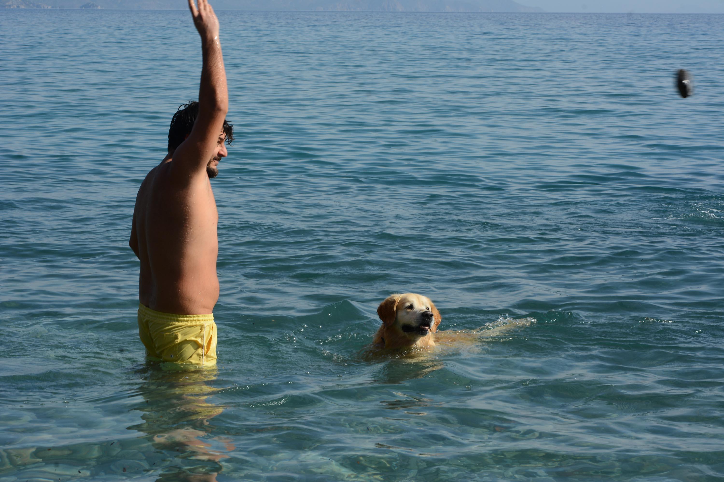 Datçada güneşi gören denize koştu