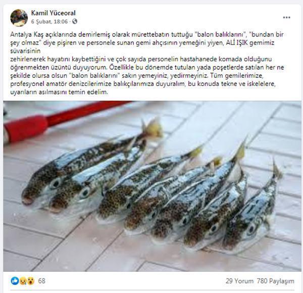 Kaşta balon balığı zehirlenmesi iddiası, Sağlık Bakanlığı inceleme başlattı