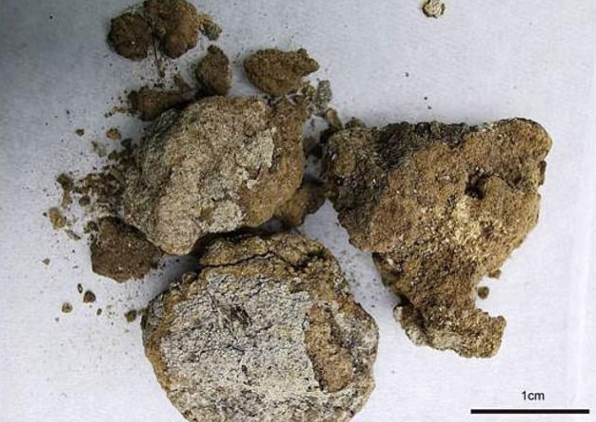 Çin’de 2 bin 700 yıl önce soyluların kozmetik ürün kullandığı ortaya çıktı