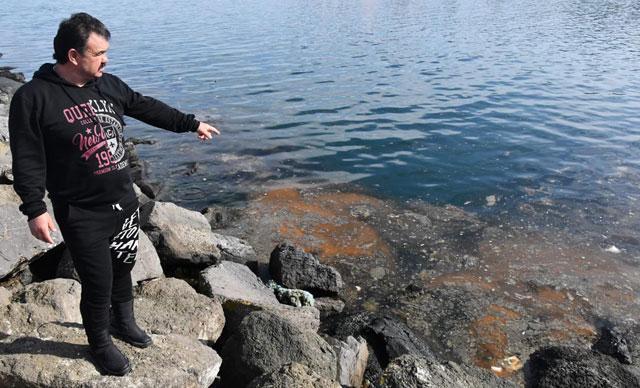 Marmaradaki deniz salyasına kirlilik ve deniz suyu sıcaklığı neden oluyor