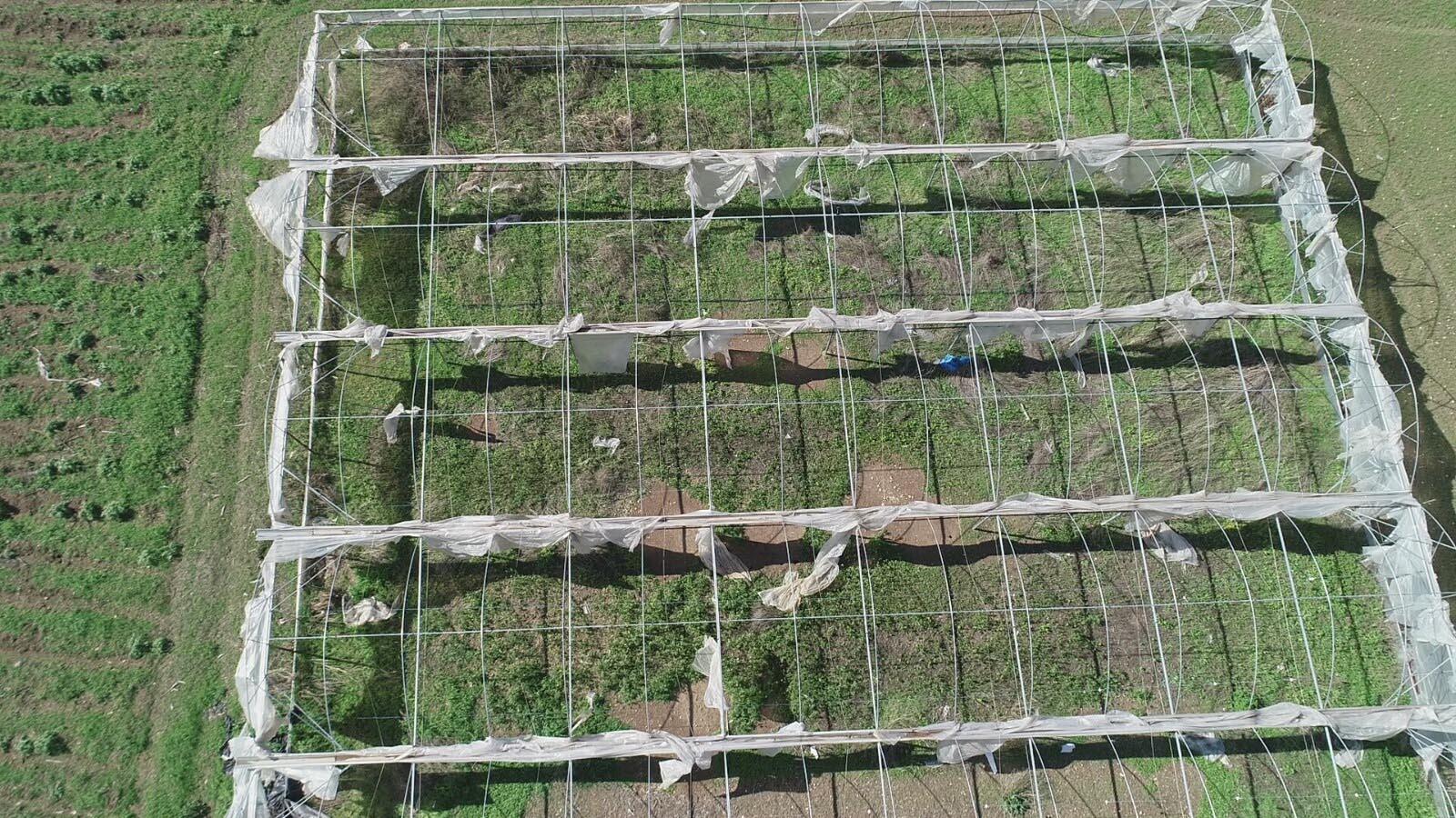 Çeşmeyi hortum, Çiğliyi dolu vurdu Felaketin boyutu gün aydınlanınca ortaya çıktı