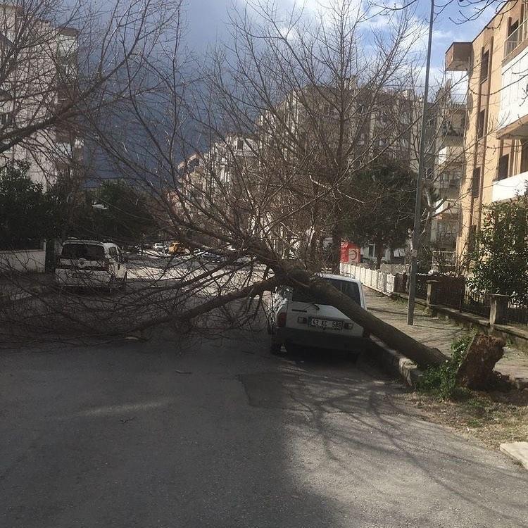 İzmirde fırtına; ağaçlar devrildi, çatılar uçtu, araçlar zarar gördü