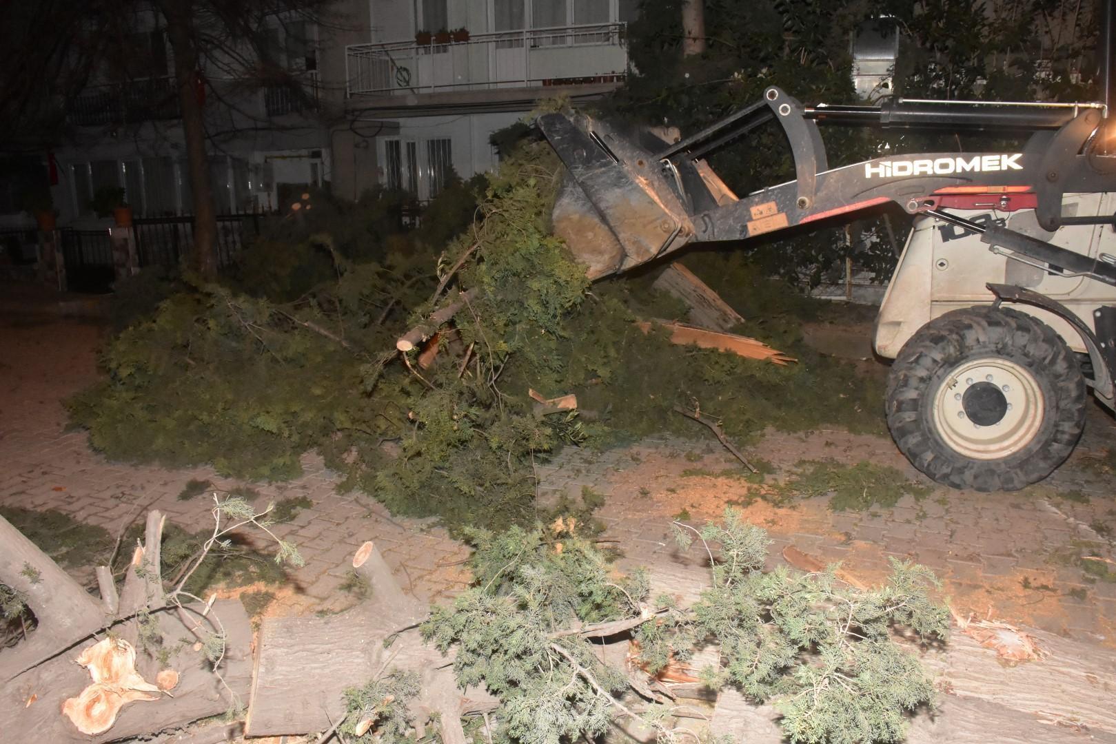 İzmirde fırtına; ağaçlar devrildi, çatılar uçtu, araçlar zarar gördü