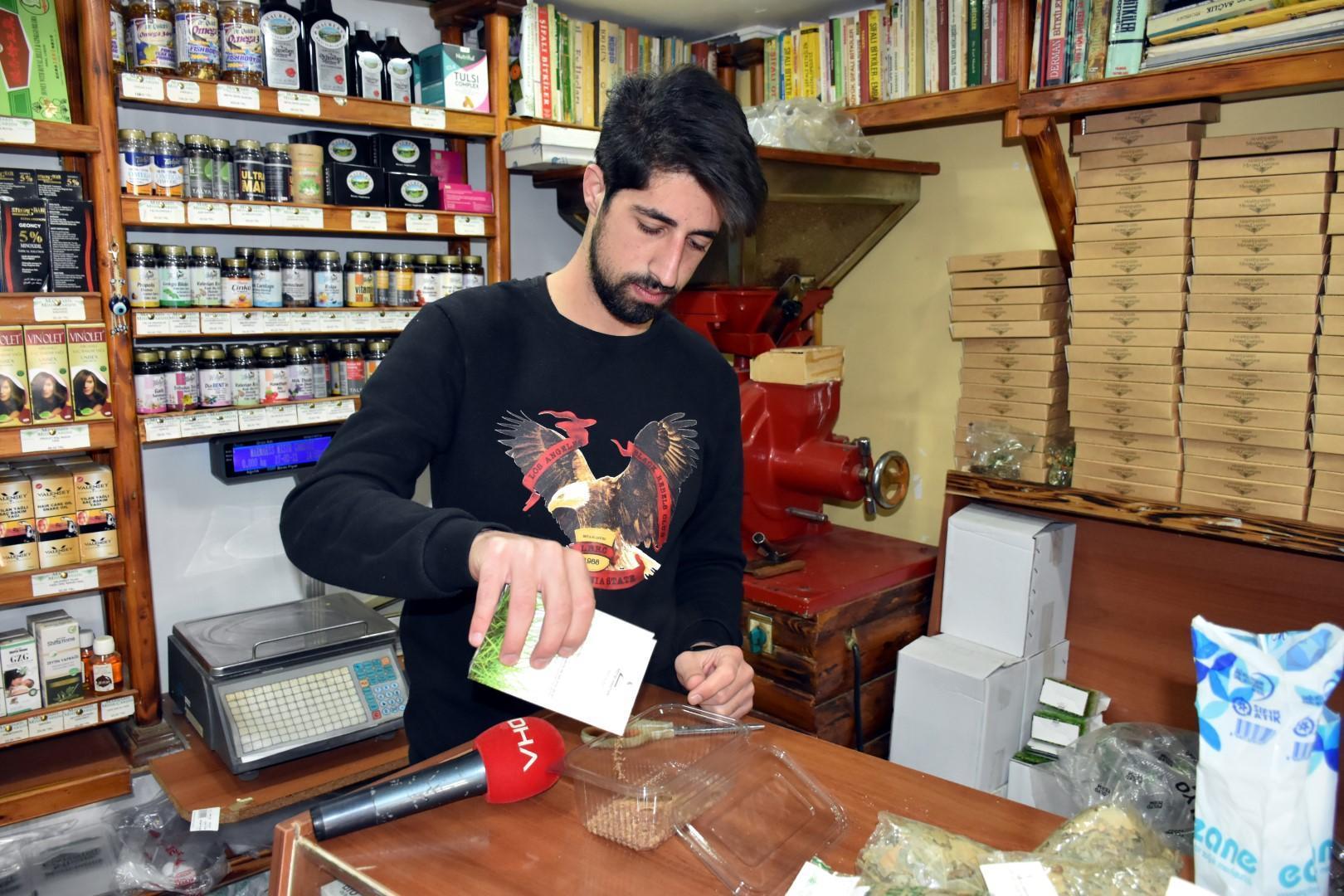 Marmariste doğal yetişen ölümsüzlük mantarı kilosu 5 bin liradan satılıyor