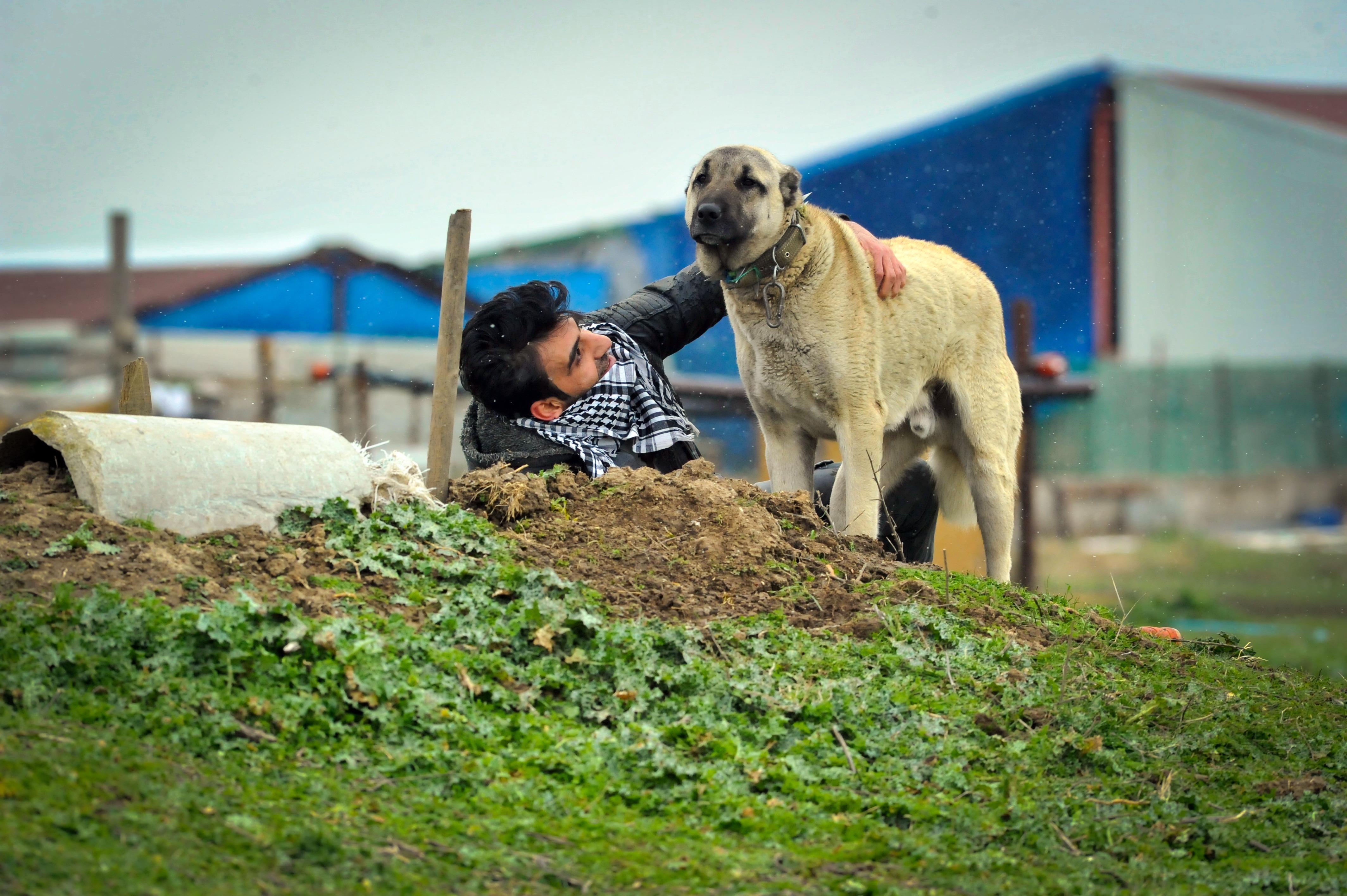 27 yıllık can yoldaşı Cınavırı mezarında da yalnız bırakmadı; Her gün mezarı başında gözyaşı döküyor