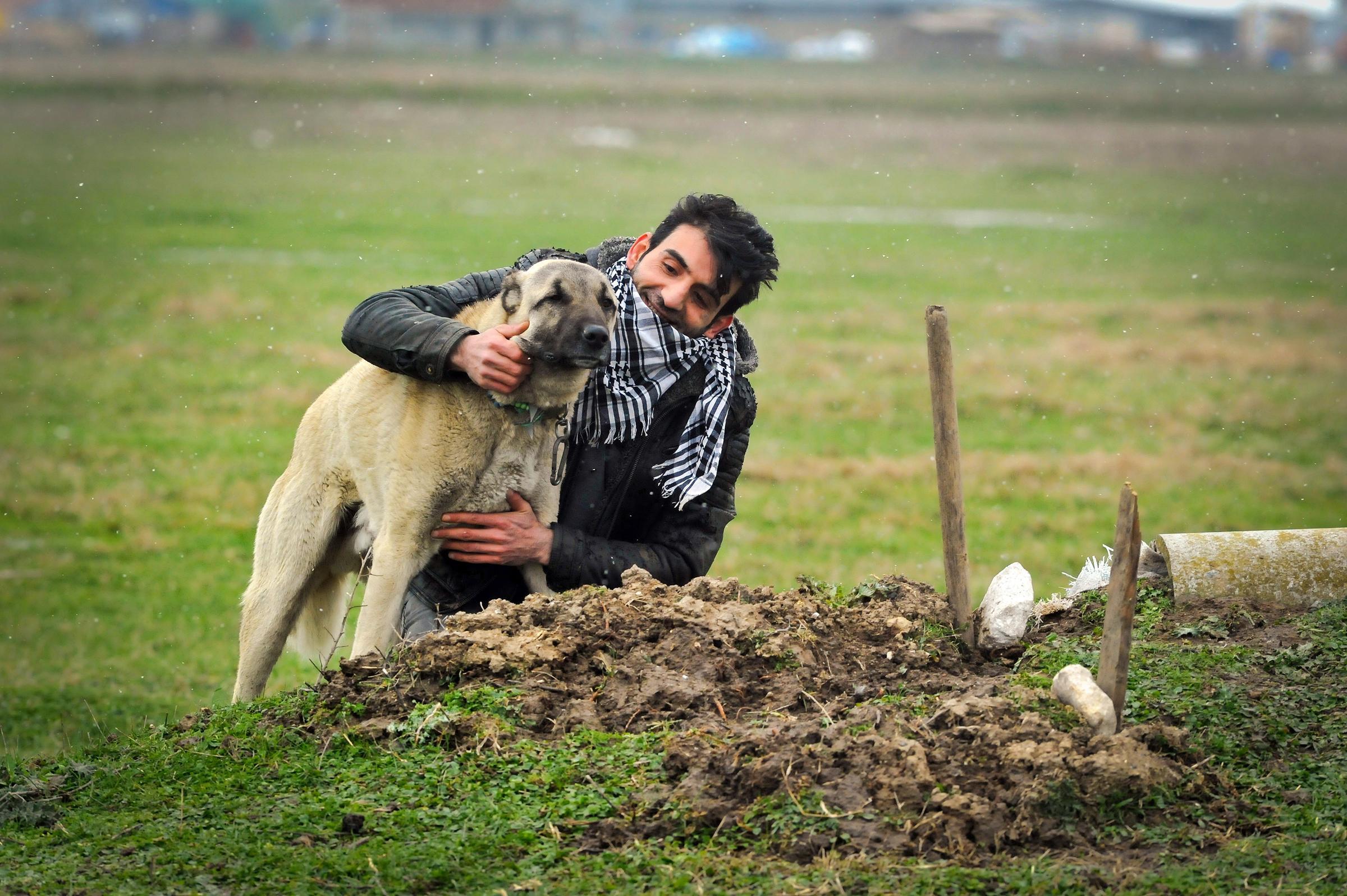 27 yıllık can yoldaşı Cınavırı mezarında da yalnız bırakmadı; Her gün mezarı başında gözyaşı döküyor