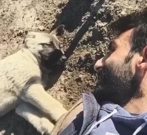 27 yıllık can yoldaşı Cınavırı mezarında da yalnız bırakmadı; Her gün mezarı başında gözyaşı döküyor