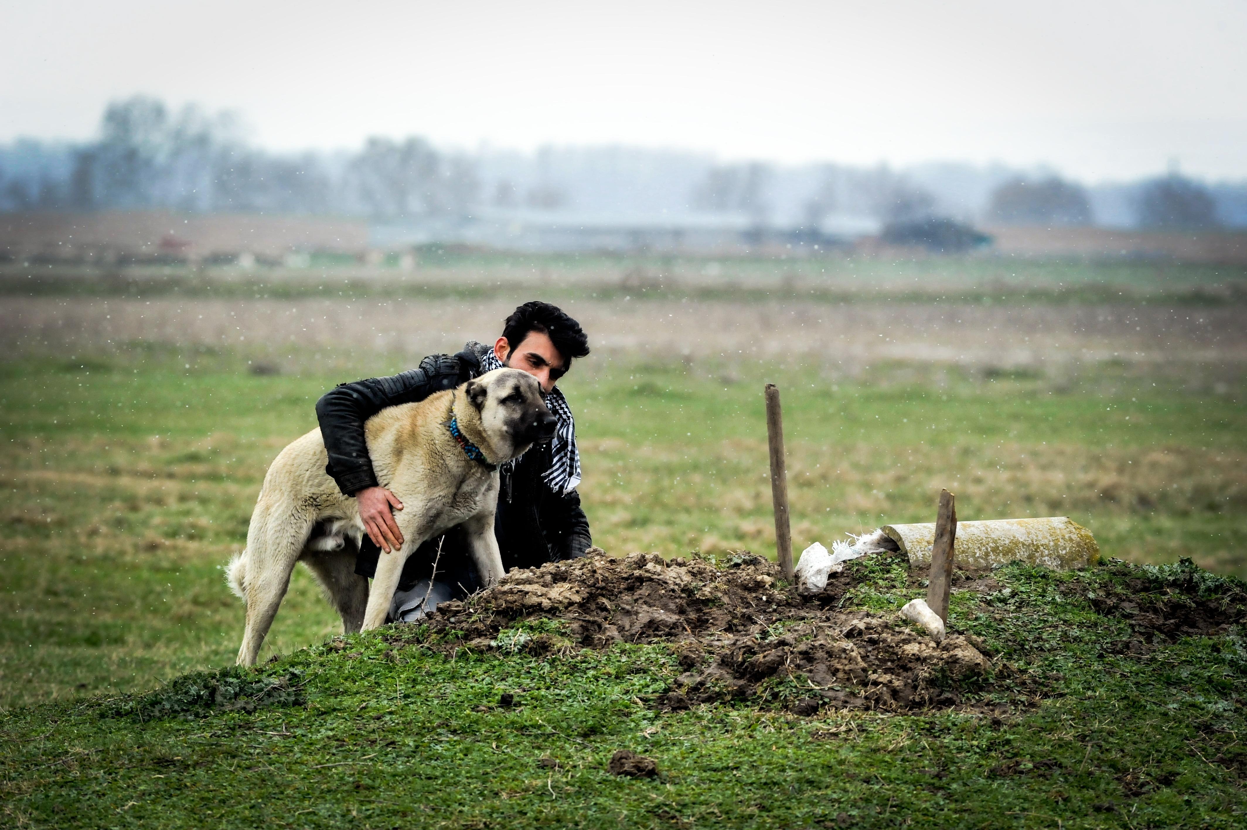 27 yıllık can yoldaşı Cınavırı mezarında da yalnız bırakmadı; Her gün mezarı başında gözyaşı döküyor