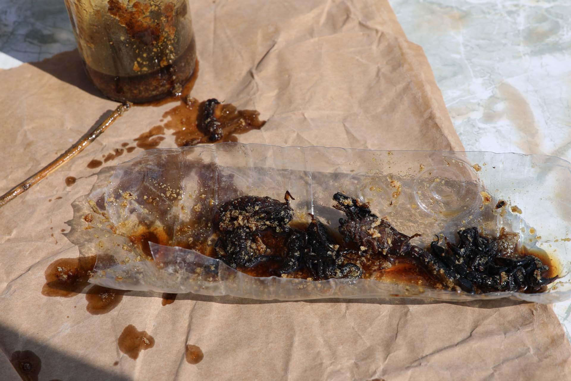 21 yıldır akrep topluyor