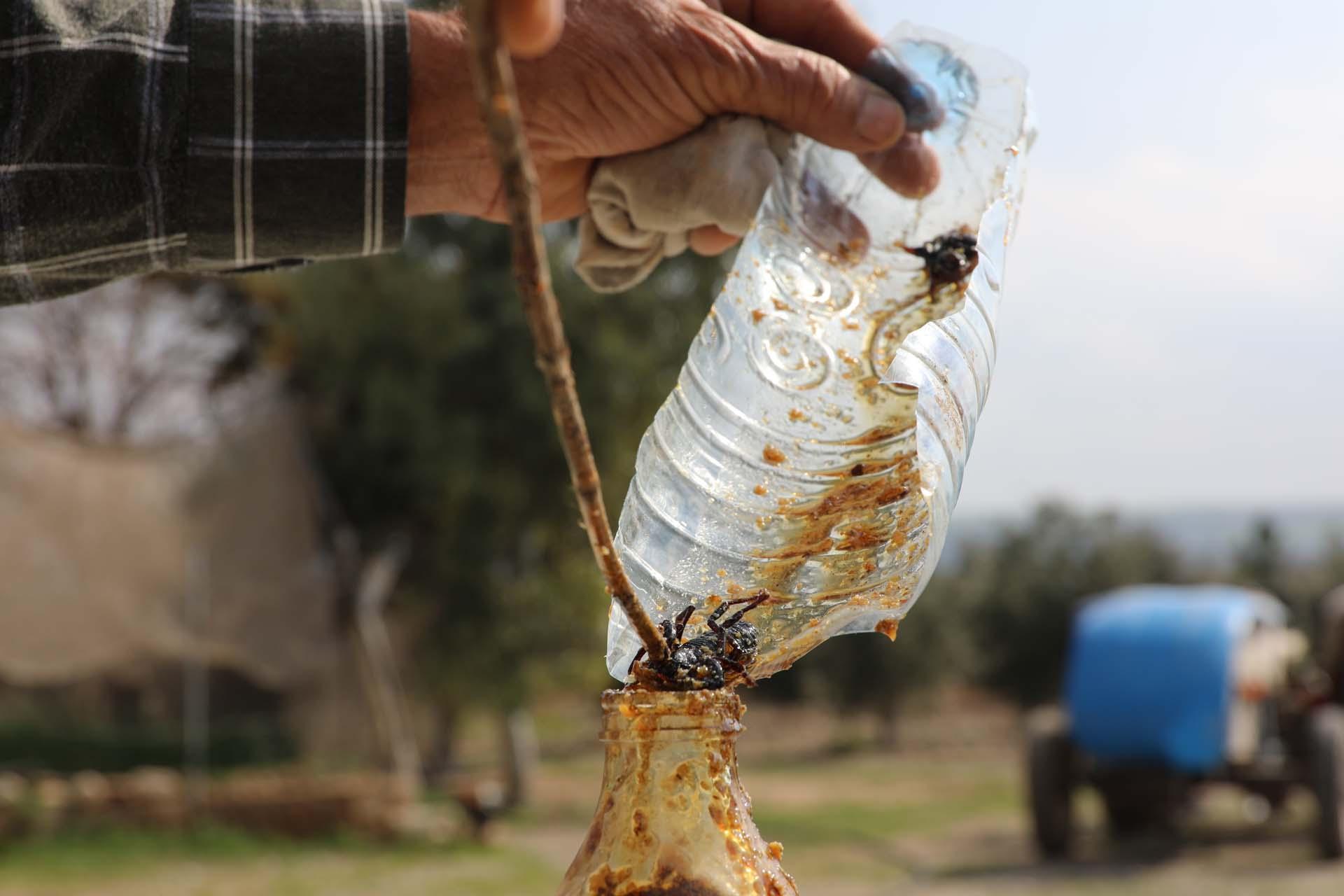 21 yıldır akrep topluyor