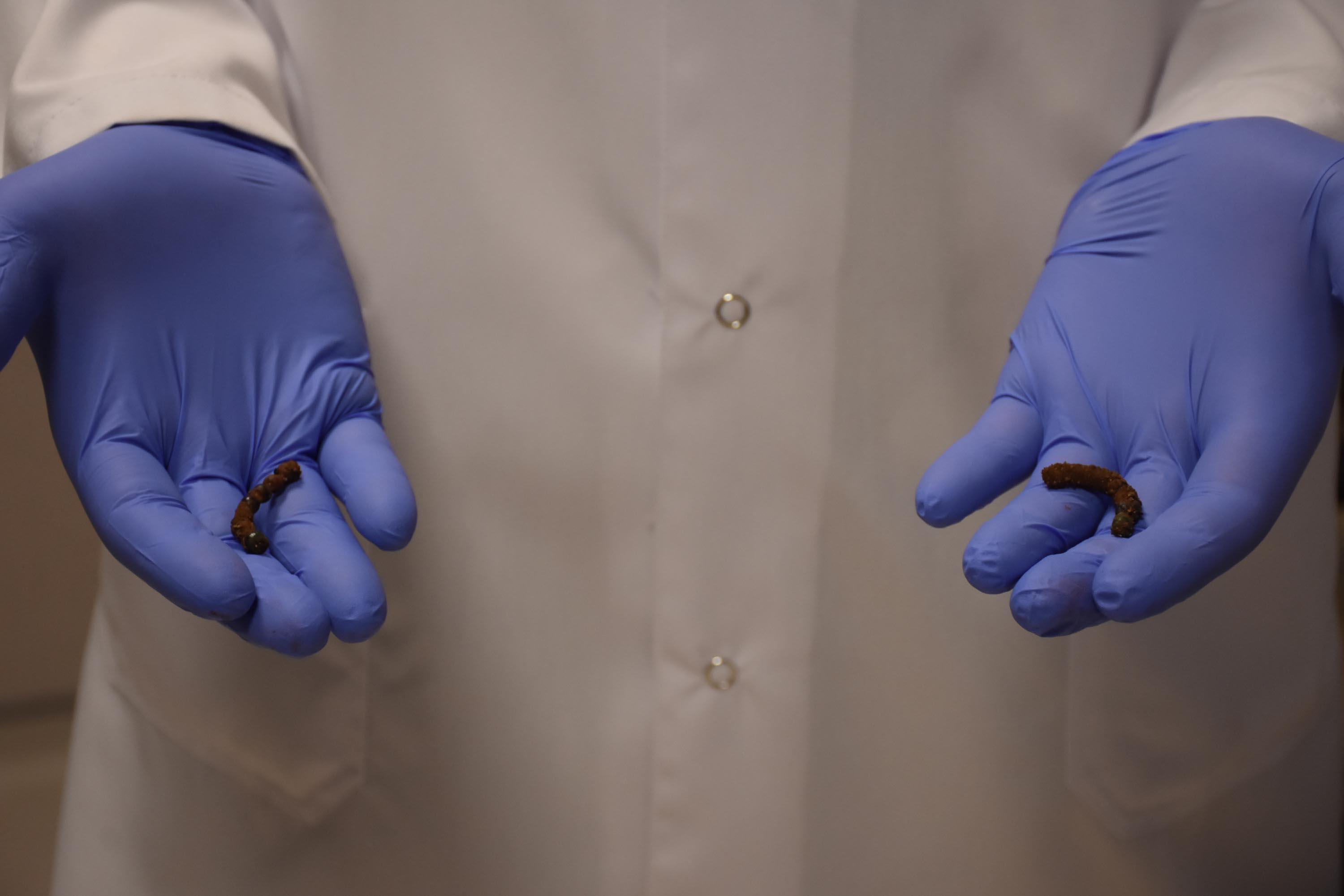 Mucize bebek Beren Irmak