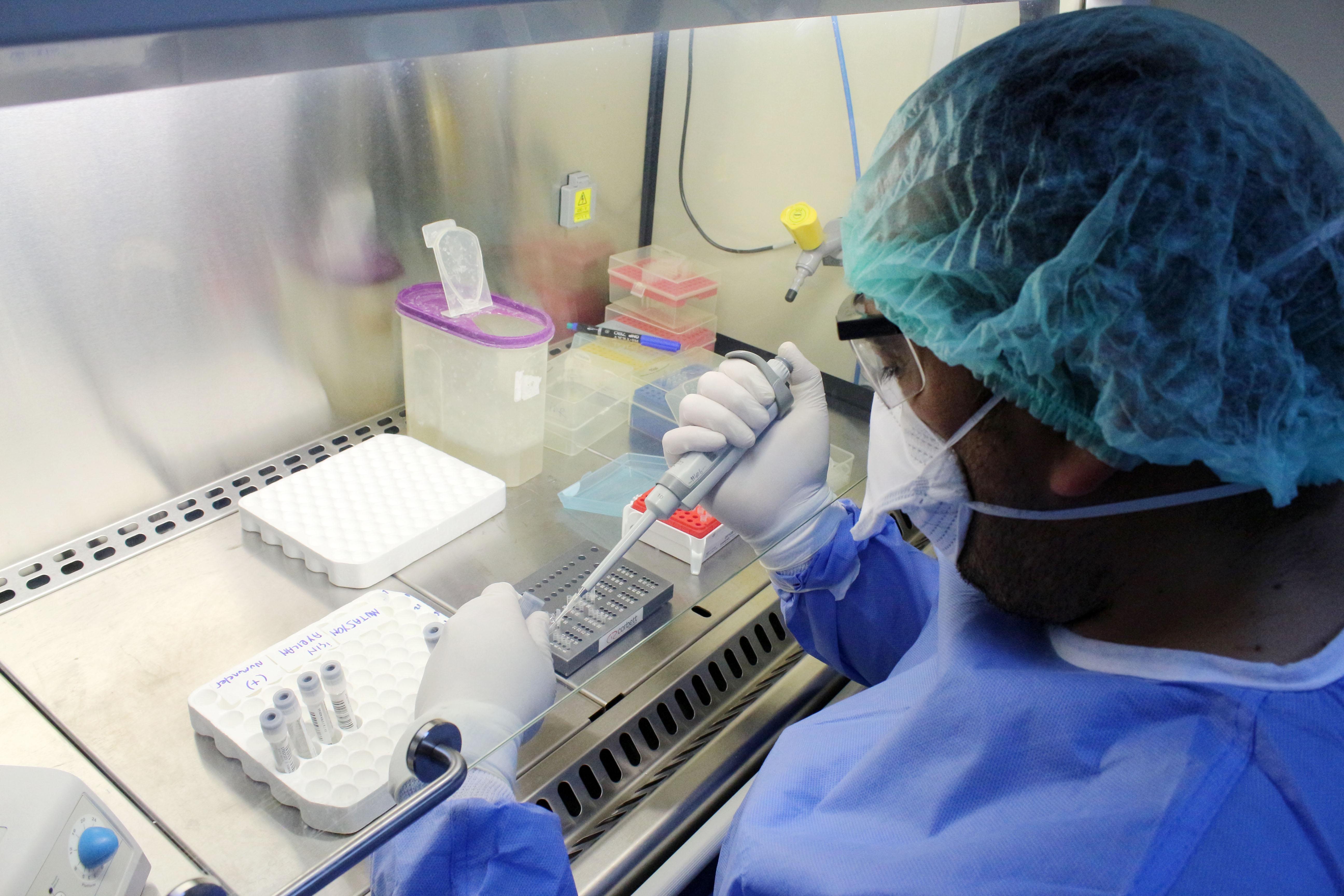 Prof. Dr. Çetin: Sivrisinek koronavirüs taşımıyor