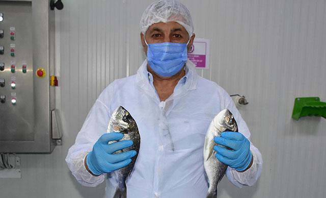 Avrupa pandemide Türkiyeden balık yedi