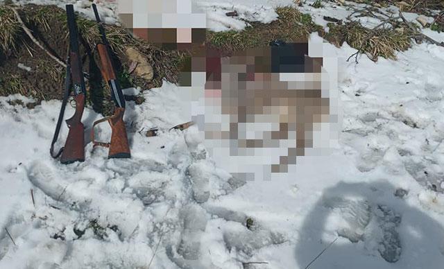 Avladıkları karacayı sırtlarında taşırken yakalandılar