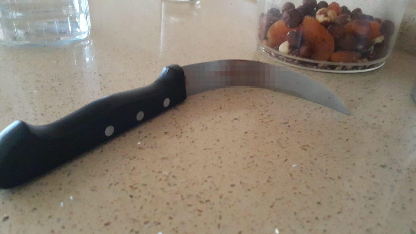 Babası tarafından öldürülen annesinin cesedini bulan Elanaz: Kırmızı tişört almış diye düşündüm