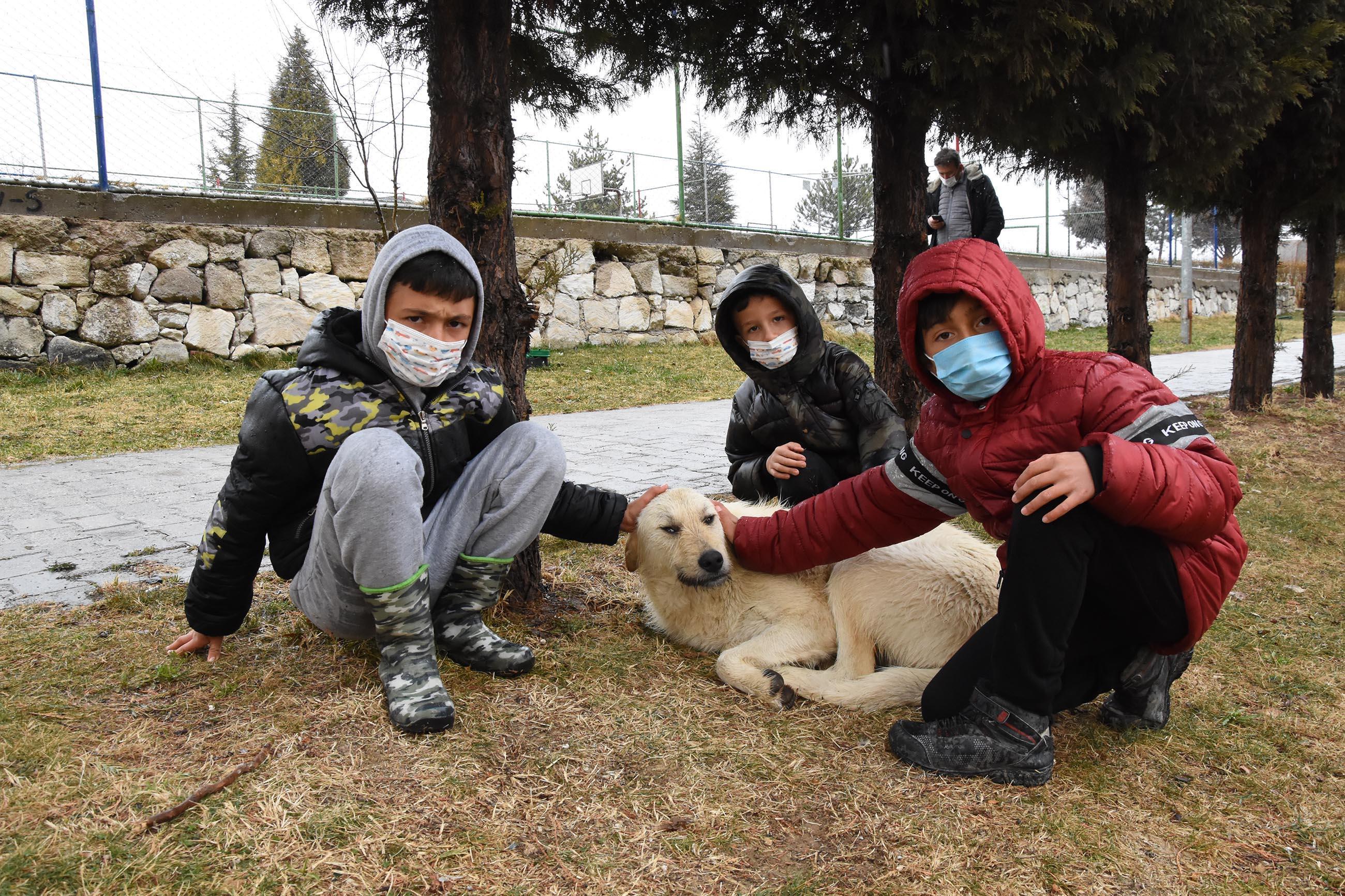 Köpeklerle oynayan 3 çocuğa tırmıkla saldıran hemşire tutuklandı