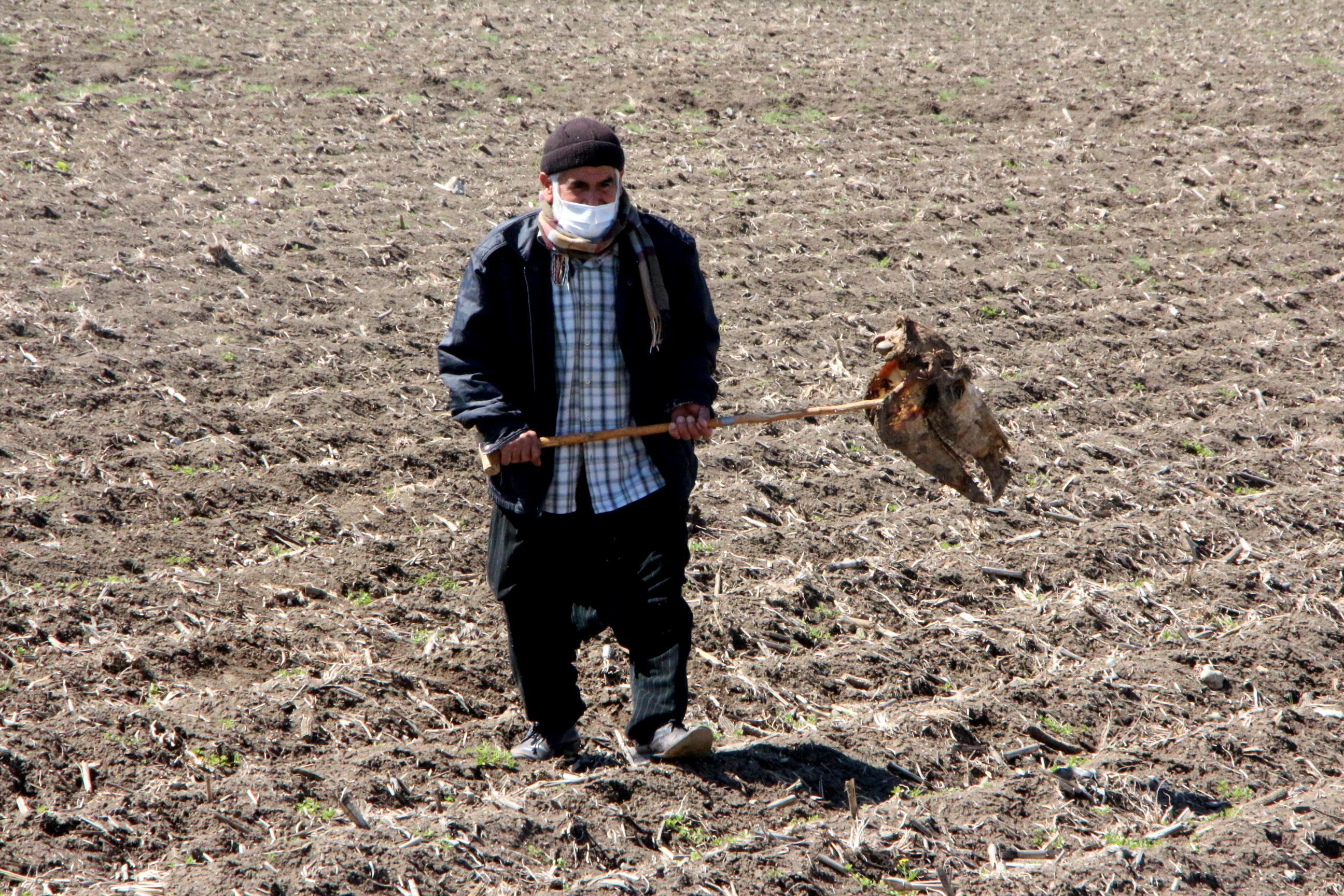 Dere yatağında çok sayıda at ve eşek kafasıyla kemikler bulundu