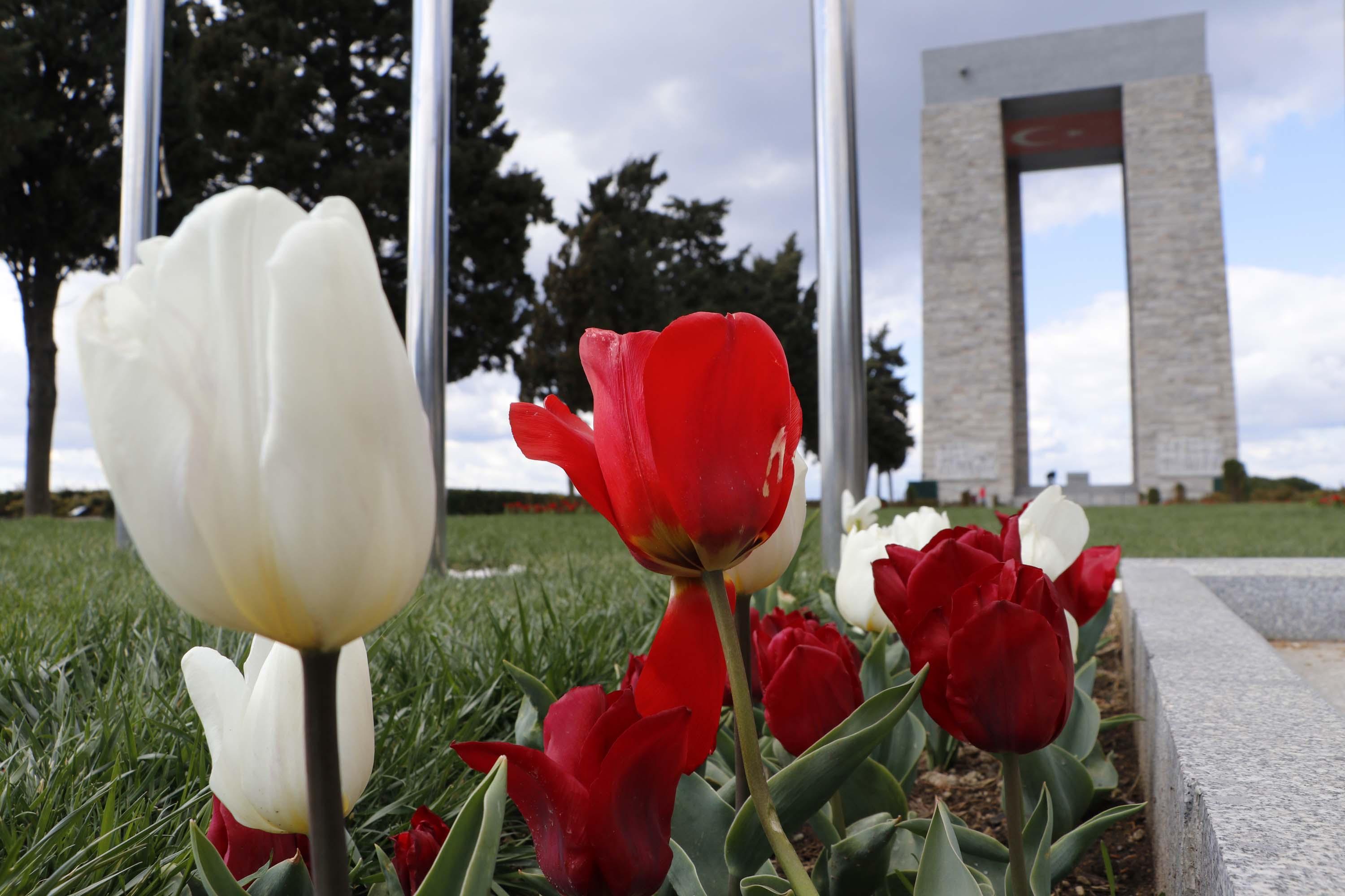 Çanakkale şehitlikleri, kırmızı beyaz lalelerle donatıldı