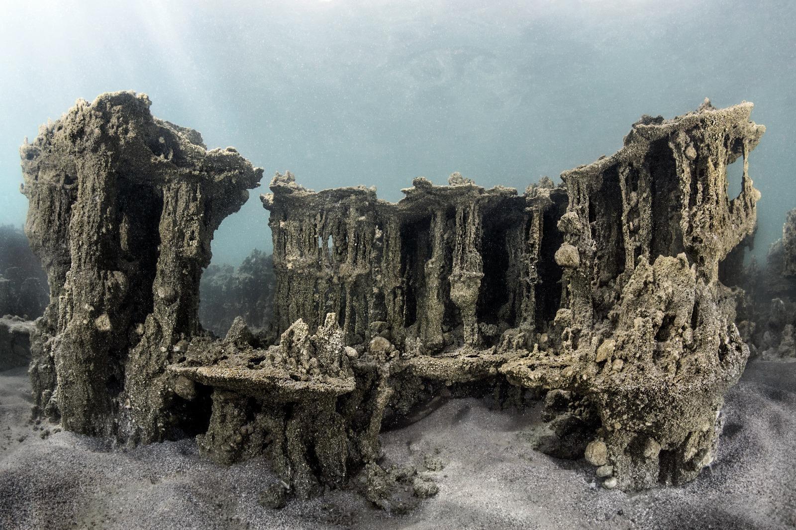 Vanın ikinci balık türü tescillendi... Van Gölü küçük mercan balığı