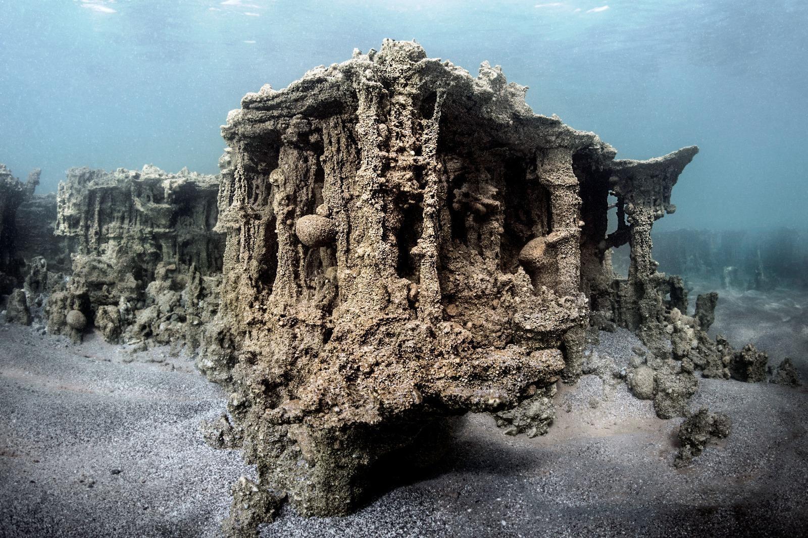 Vanın ikinci balık türü tescillendi... Van Gölü küçük mercan balığı