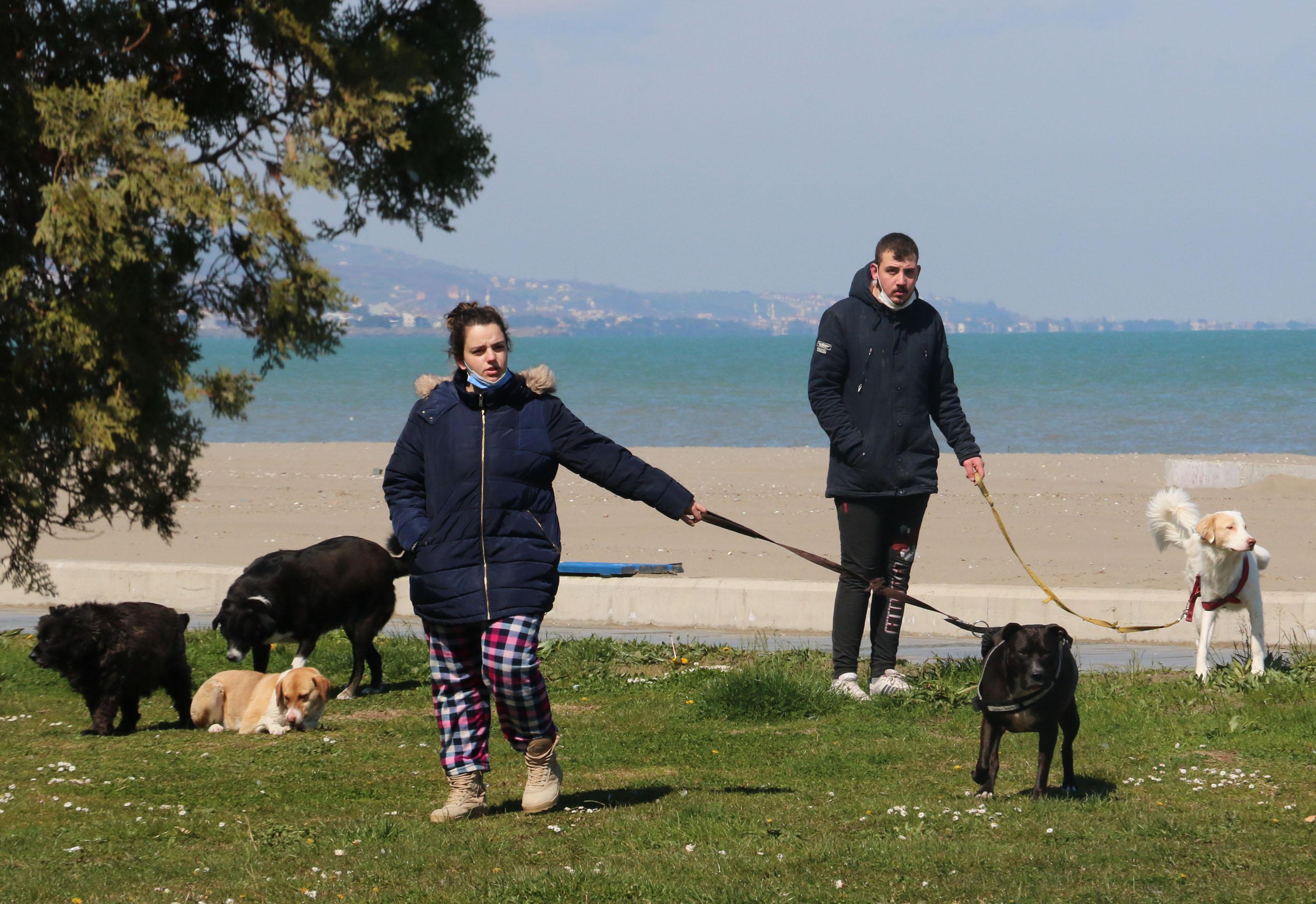 Pandemide evcil hayvan sahiplenme oranı arttı