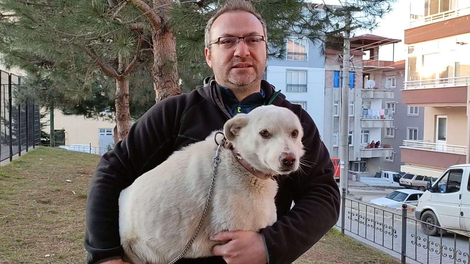 Sahibi tedavi gören Pamuk köpek, 14 gün hastane kapısında bekledi