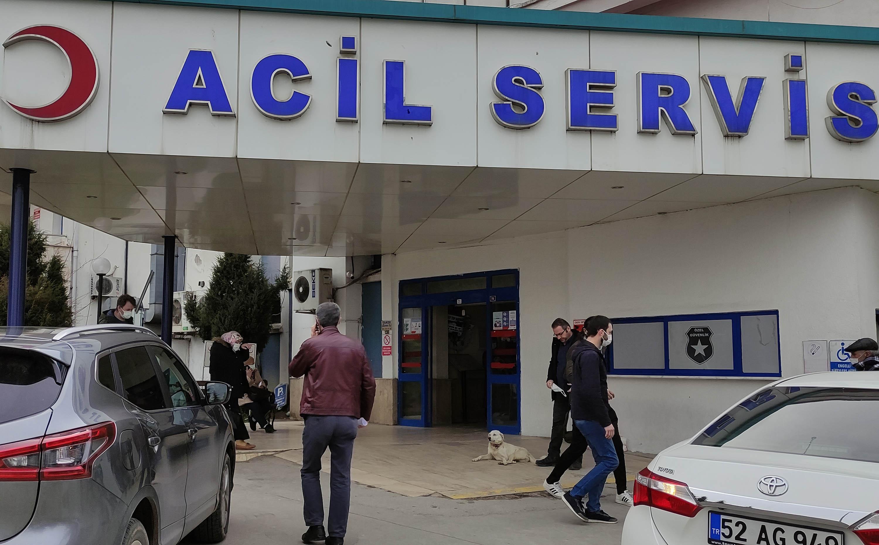 Sahibi tedavi gören Pamuk köpek, 14 gün hastane kapısında bekledi