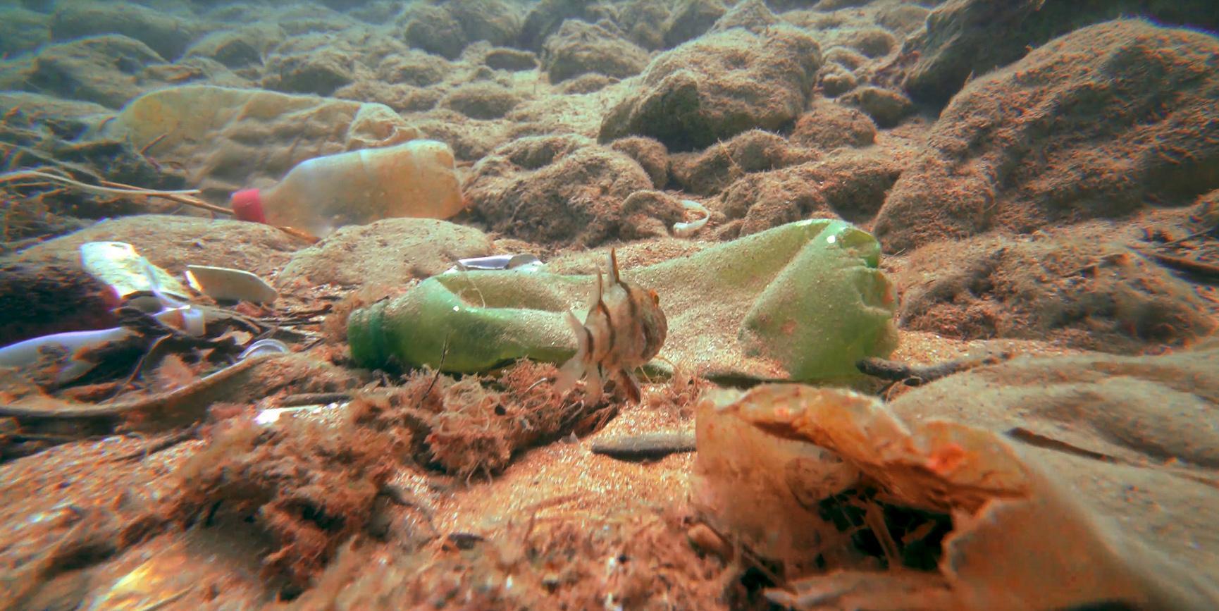 Su altı belgesellerini İngilterede çekecek