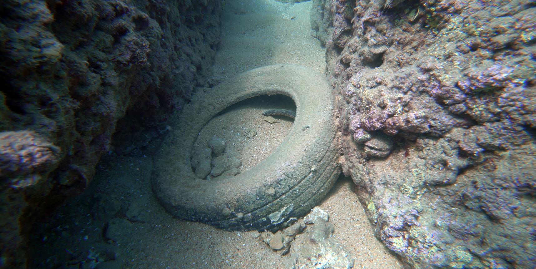 Su altı belgesellerini İngilterede çekecek