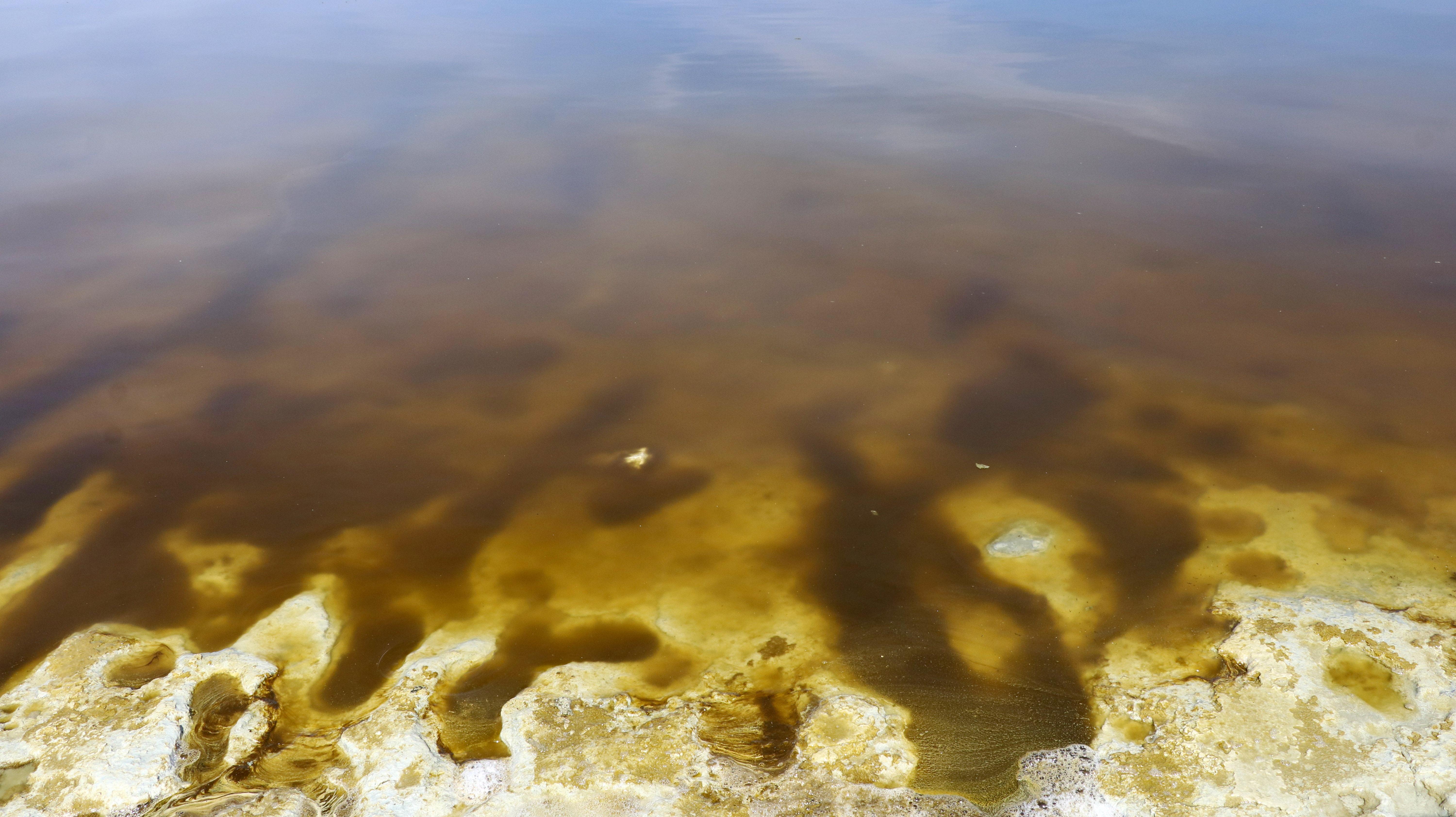 Yeşil alg patlaması, Burdur Gölünün rengini değiştirdi