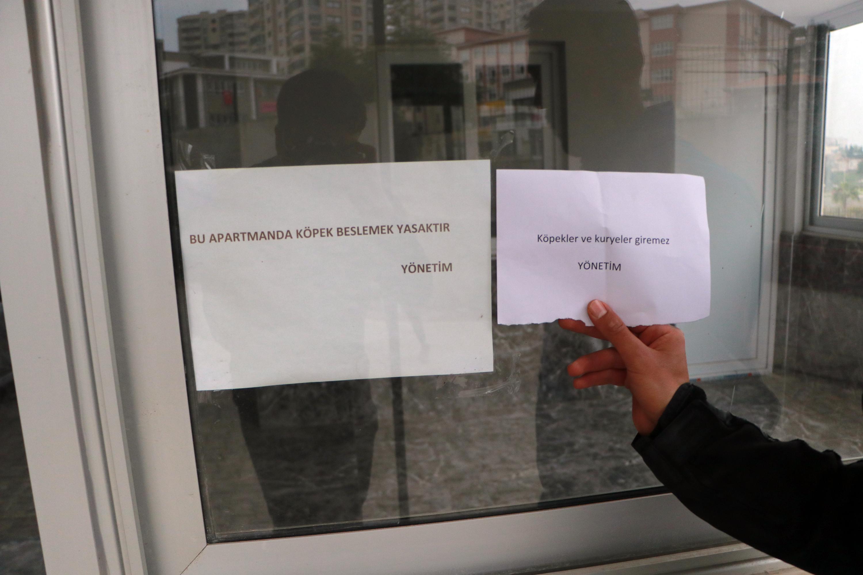 Apartmanın girişindeki köpekler ve kuryeler giremez yazısına tepki