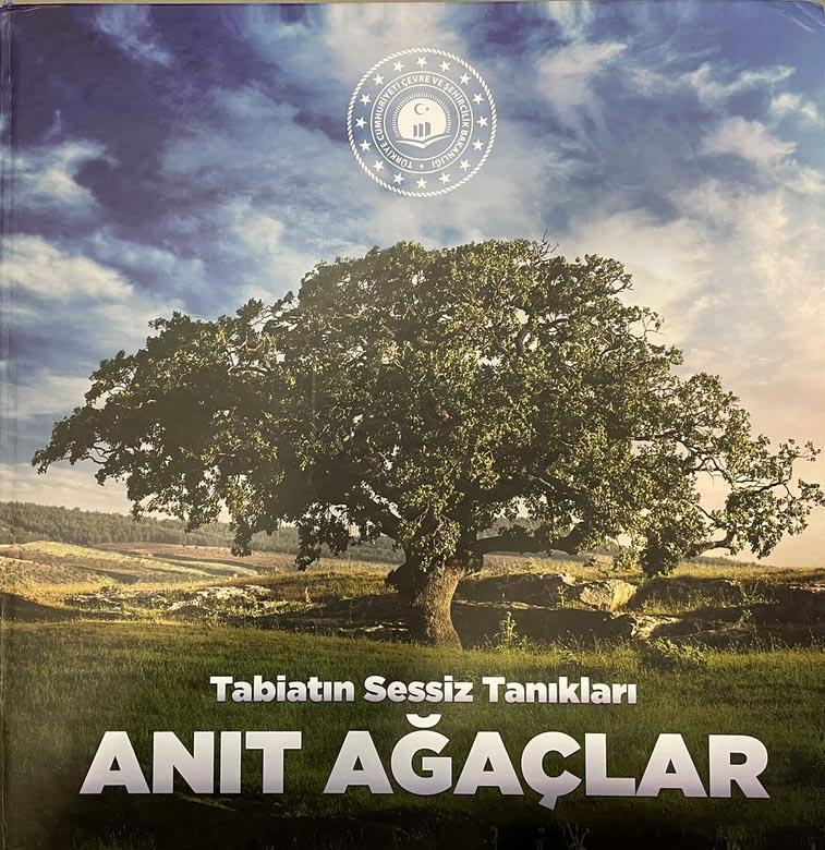 4 bin 117 yaşındaki dünyanın en yaşlı porsuk ağacı, bakanlığın Anıt Ağaçlar kitabında