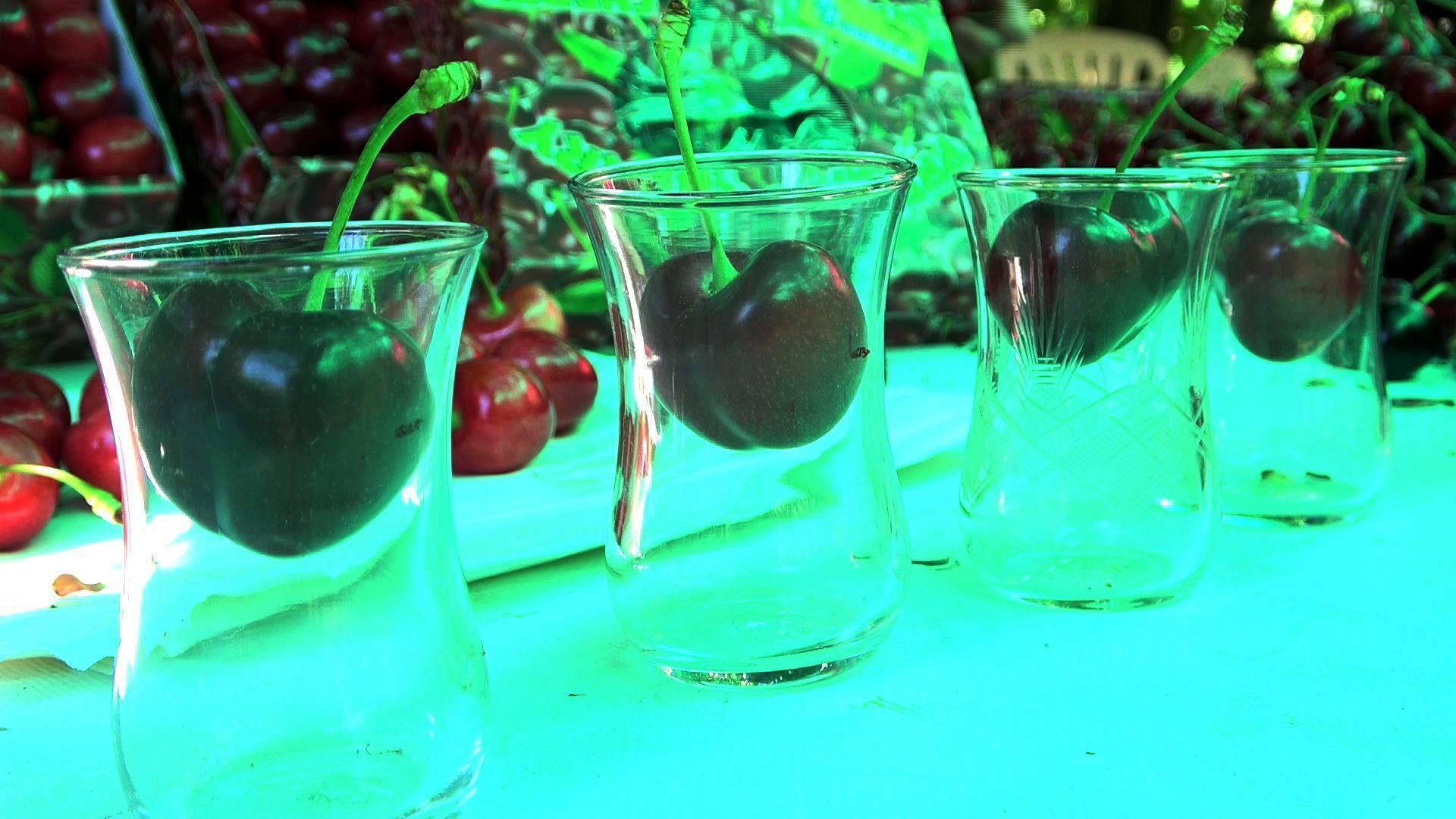 Çay bardağına sığmayan Lapseki kirazı gün sayıyor