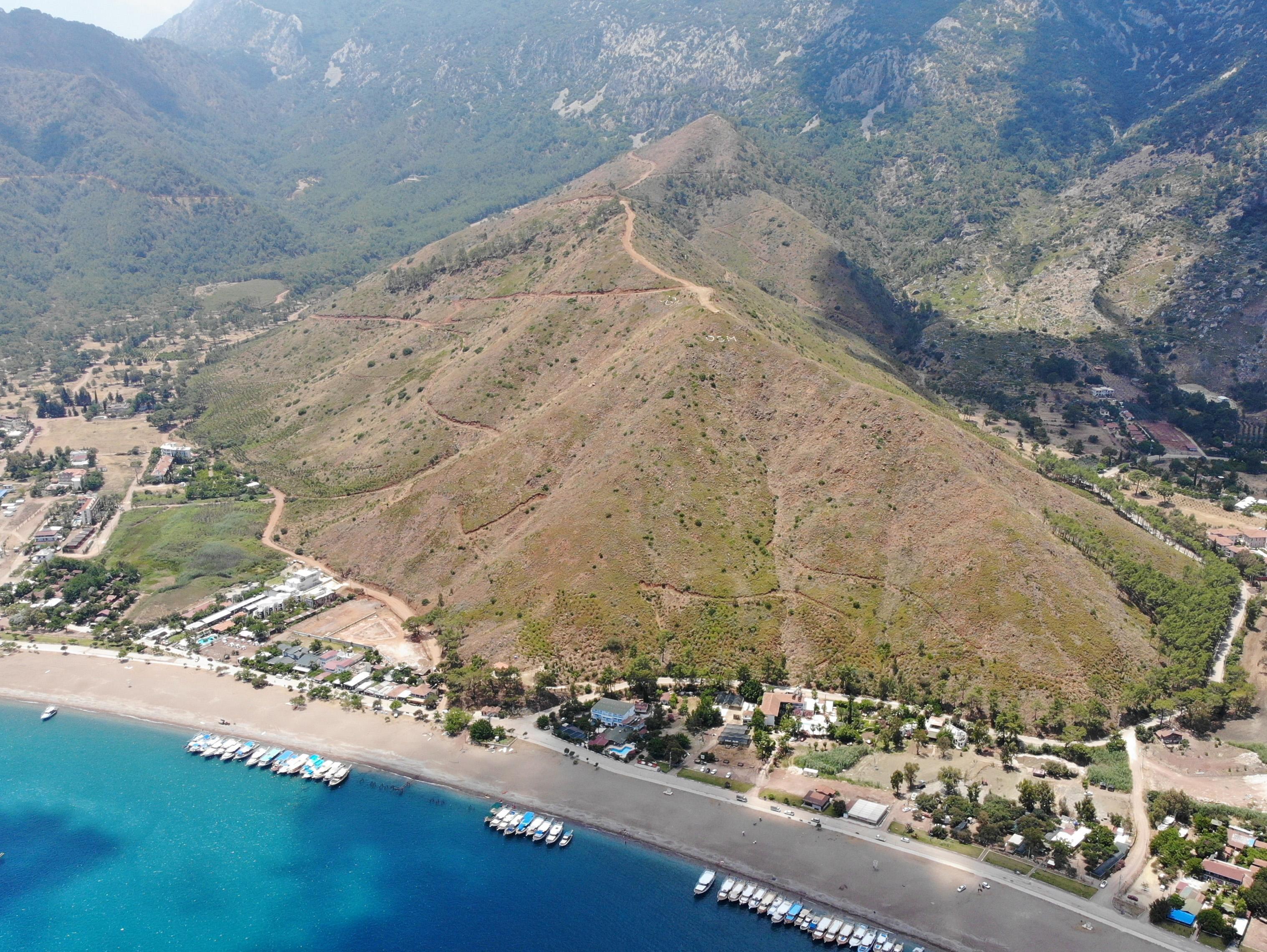 Yanan ormanlar yeşillendi