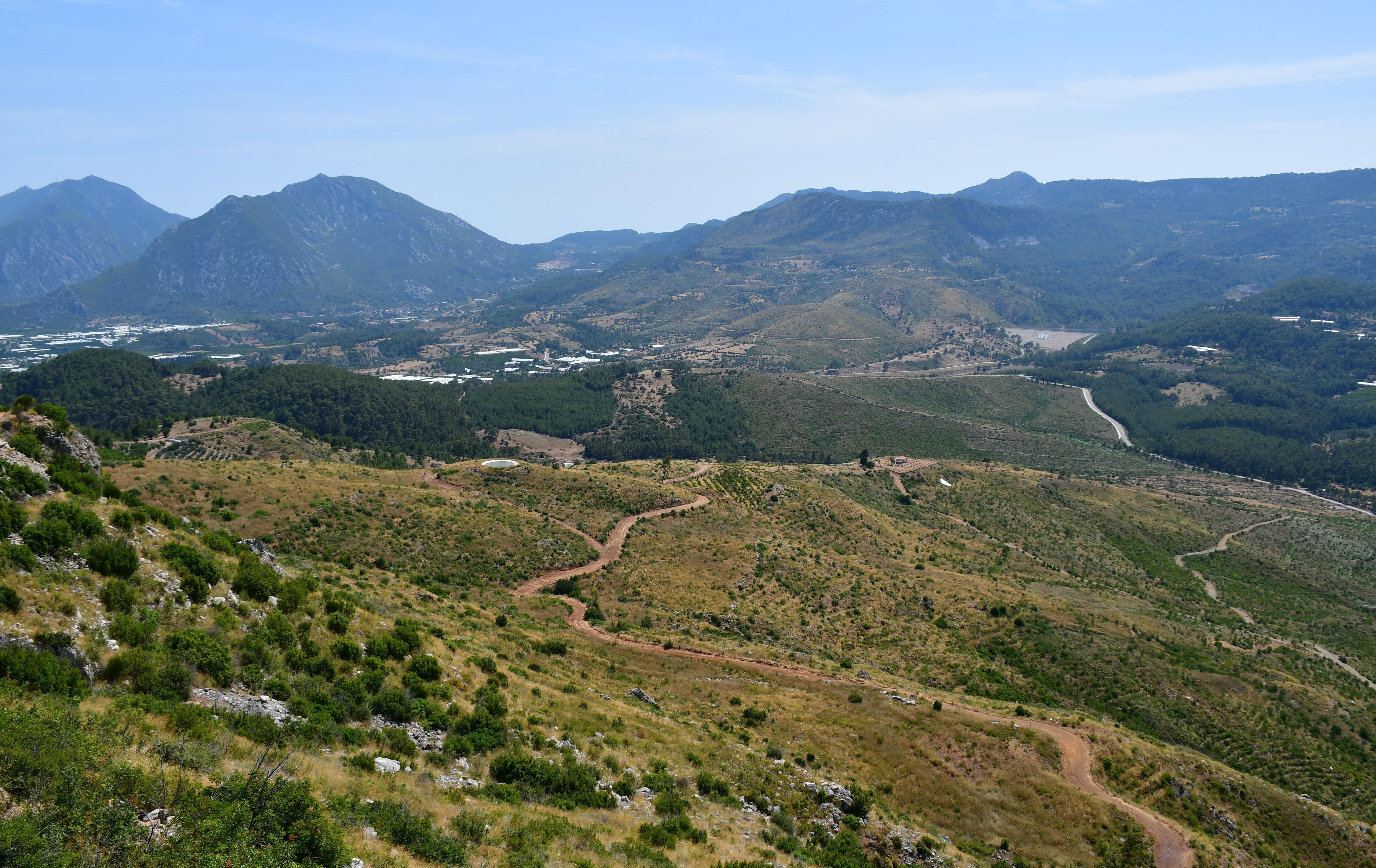 Yanan ormanlar yeşillendi