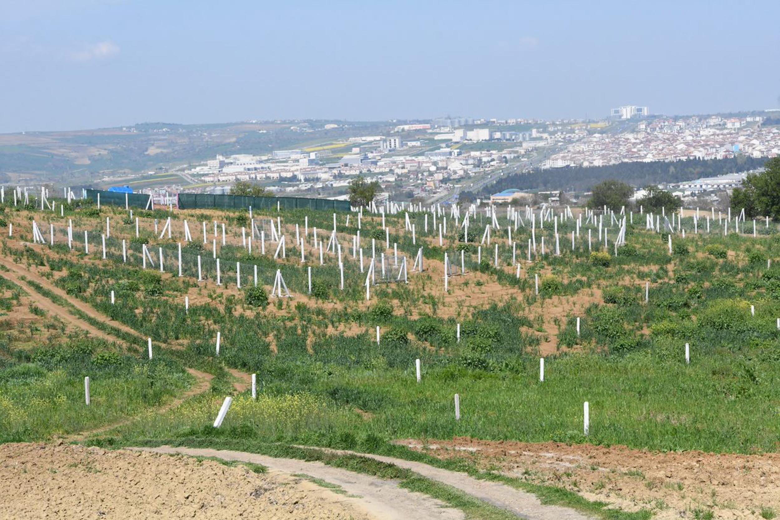 Bill Gatesin Trakyadan arazi aldığı iddiası, fırsatçıları harekete geçirdi