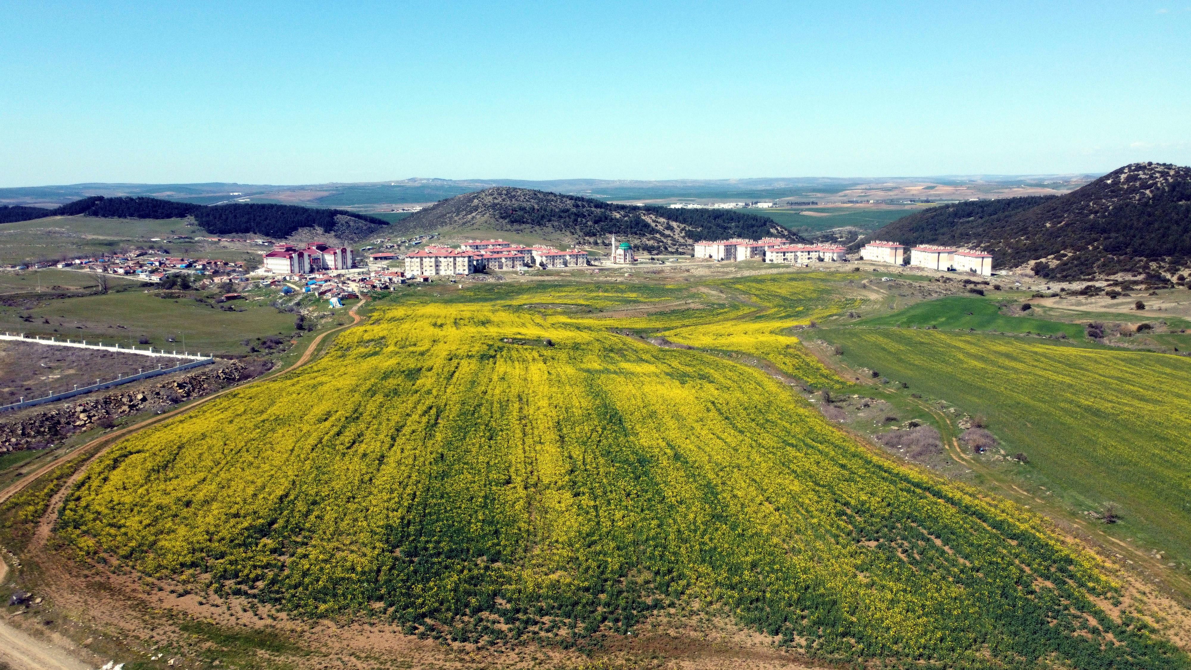 Bill Gatesin Trakyadan arazi aldığı iddiası, fırsatçıları harekete geçirdi