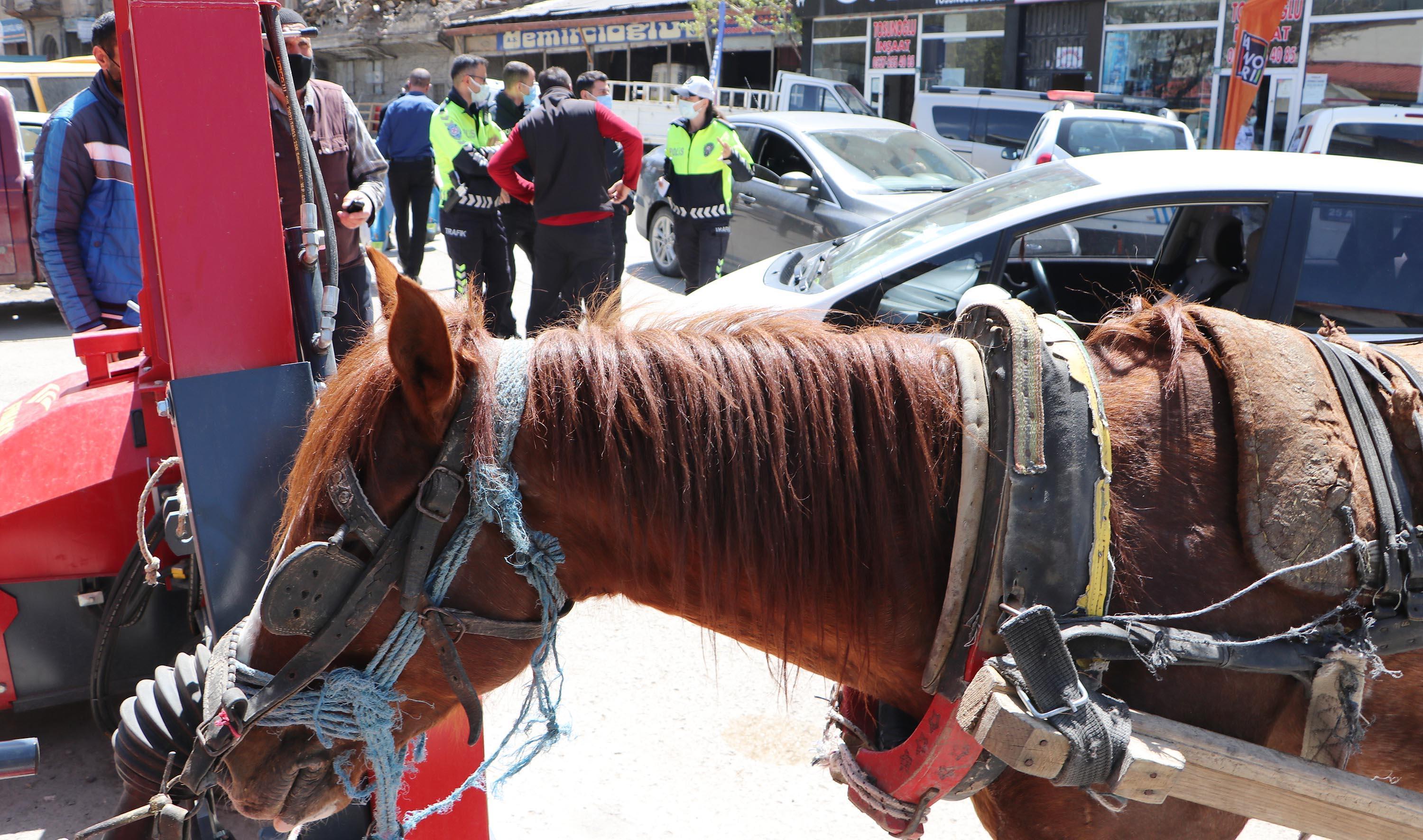 Trafikte dört nala koşan at, çok sayıda araçta hasara neden oldu