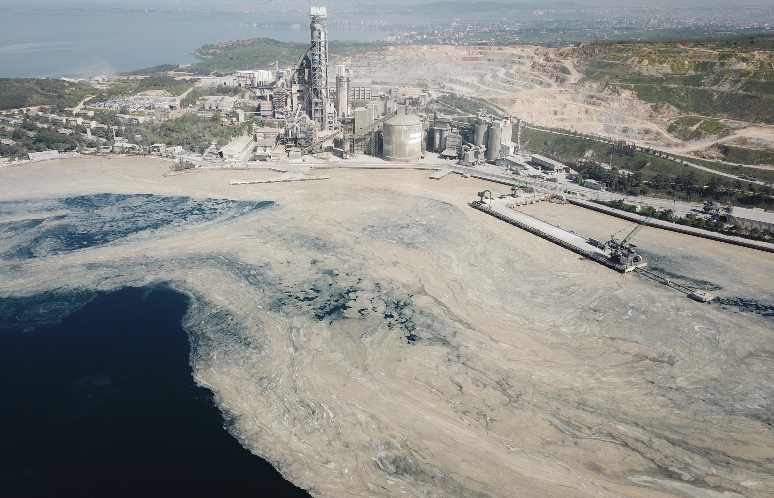 İzmit Körfez deniz salyası ile kaplandı