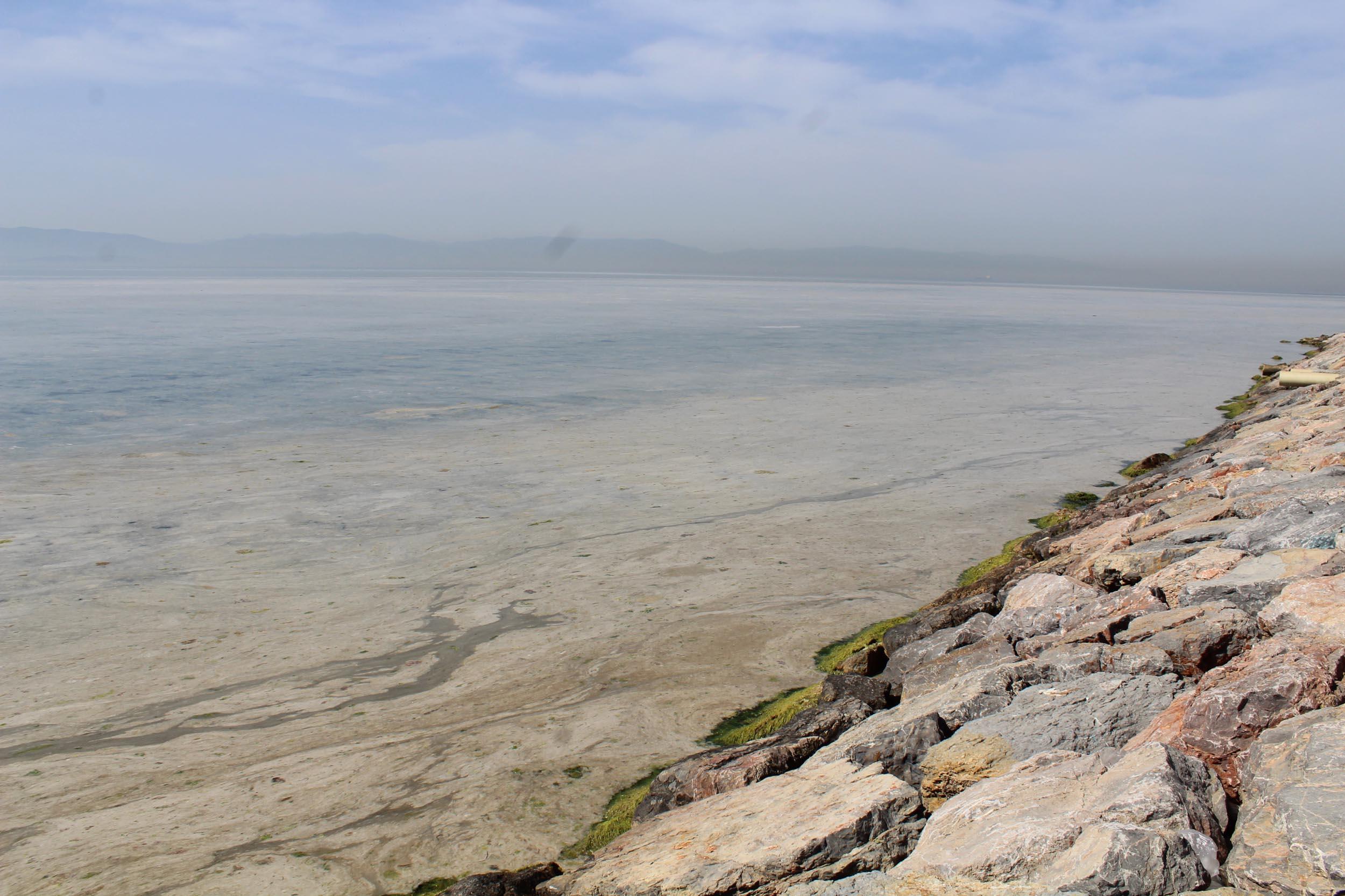 İzmit Körfez deniz salyası ile kaplandı