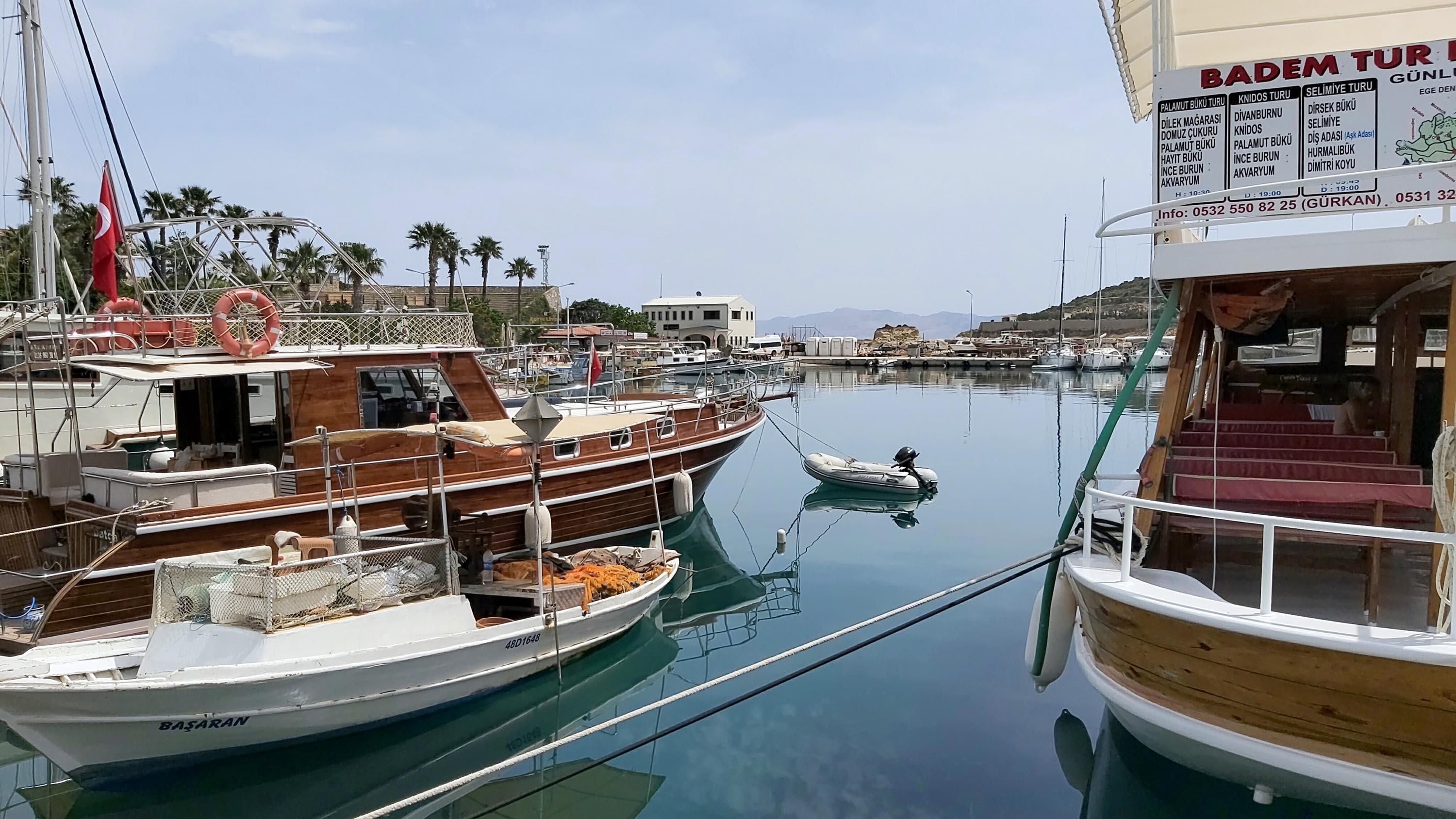 Tam kapanmada, ahtapotlar limana kadar geldi