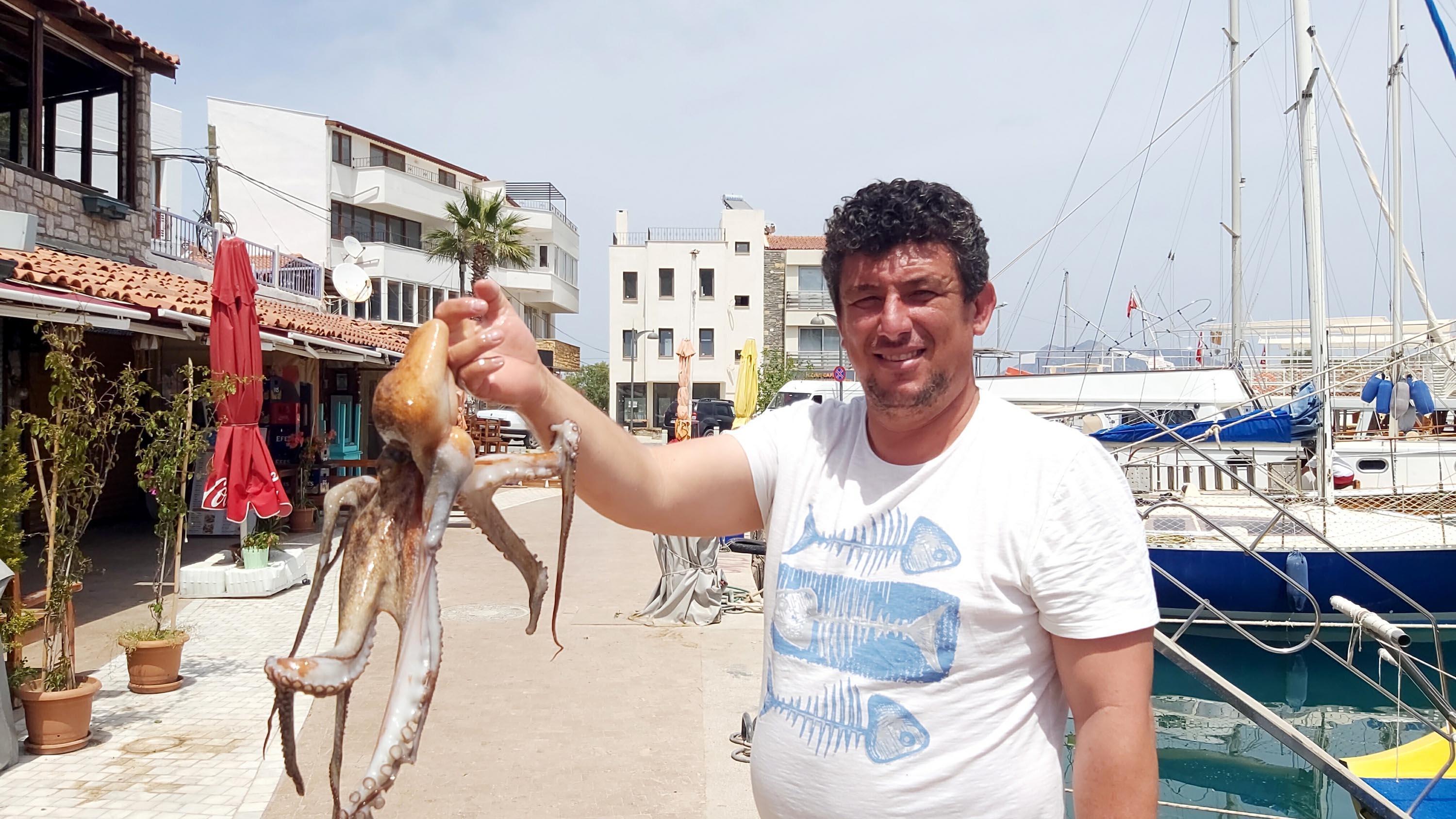 Tam kapanmada, ahtapotlar limana kadar geldi