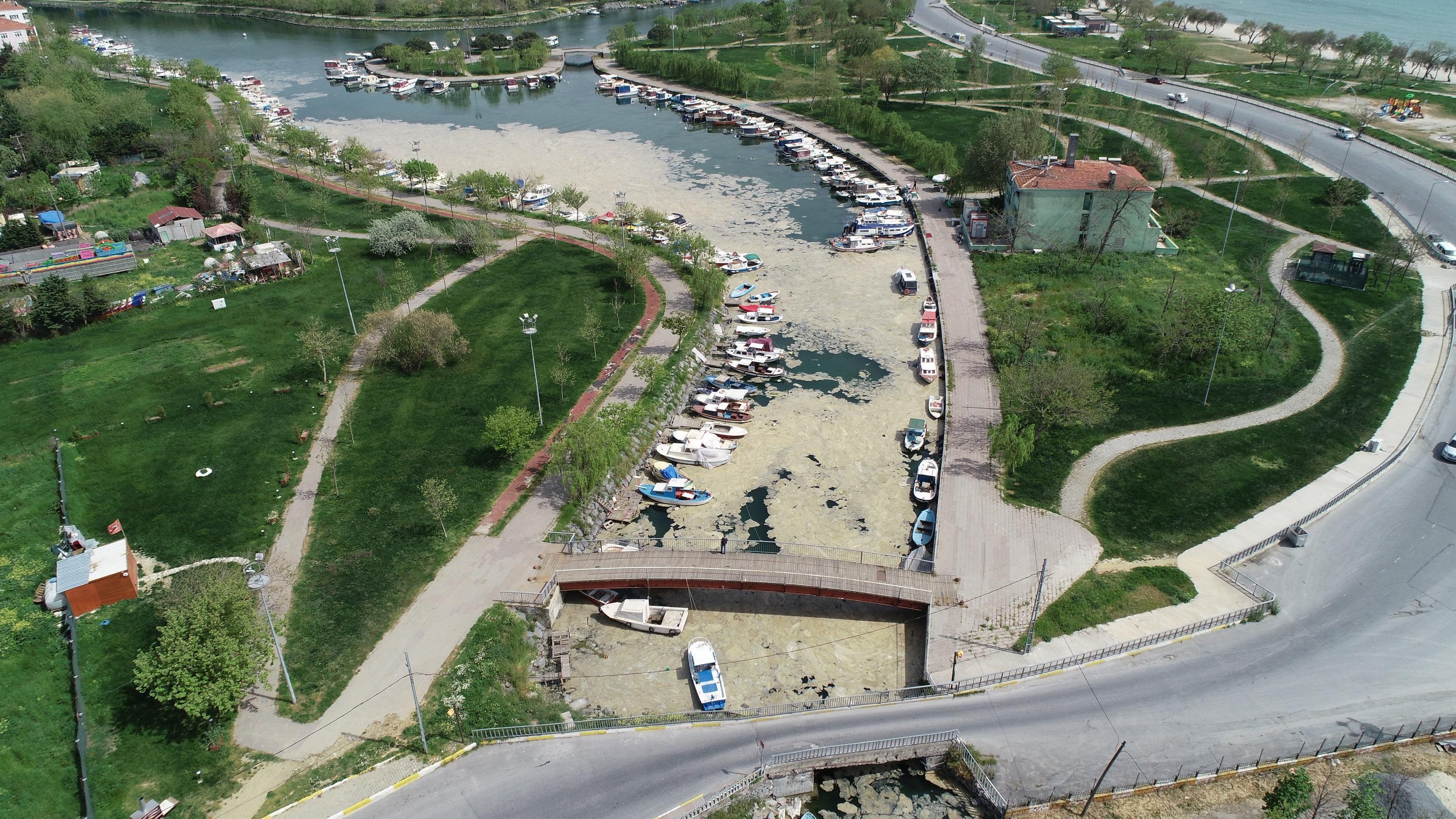 Menekşe Deresi deniz salyası ile kaplandı: 25 senedir ilk defa görüyorum