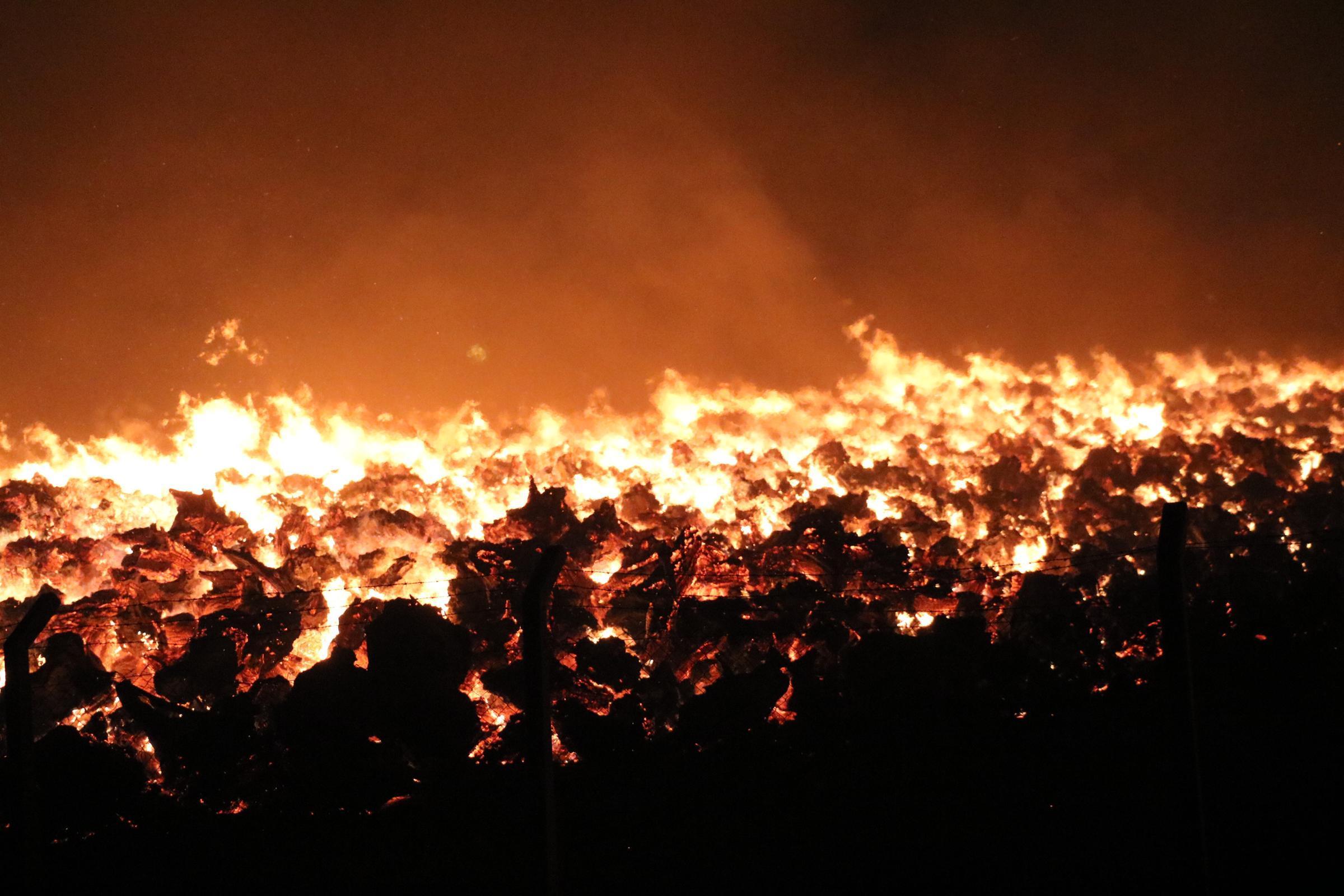 Afyonkarahisarda biyoenerji tesisi bahçesindeki ağaç köklerinde yangın çıktı
