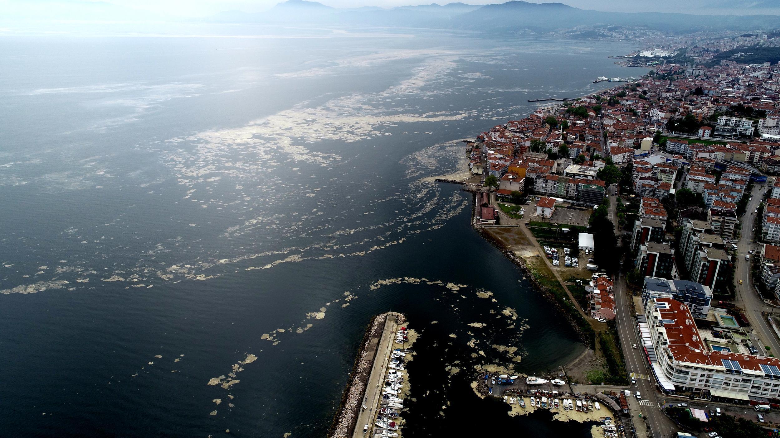 Deniz salyasıyla kaplanan Mudanya Yat Limanı, havadan görüntülendi