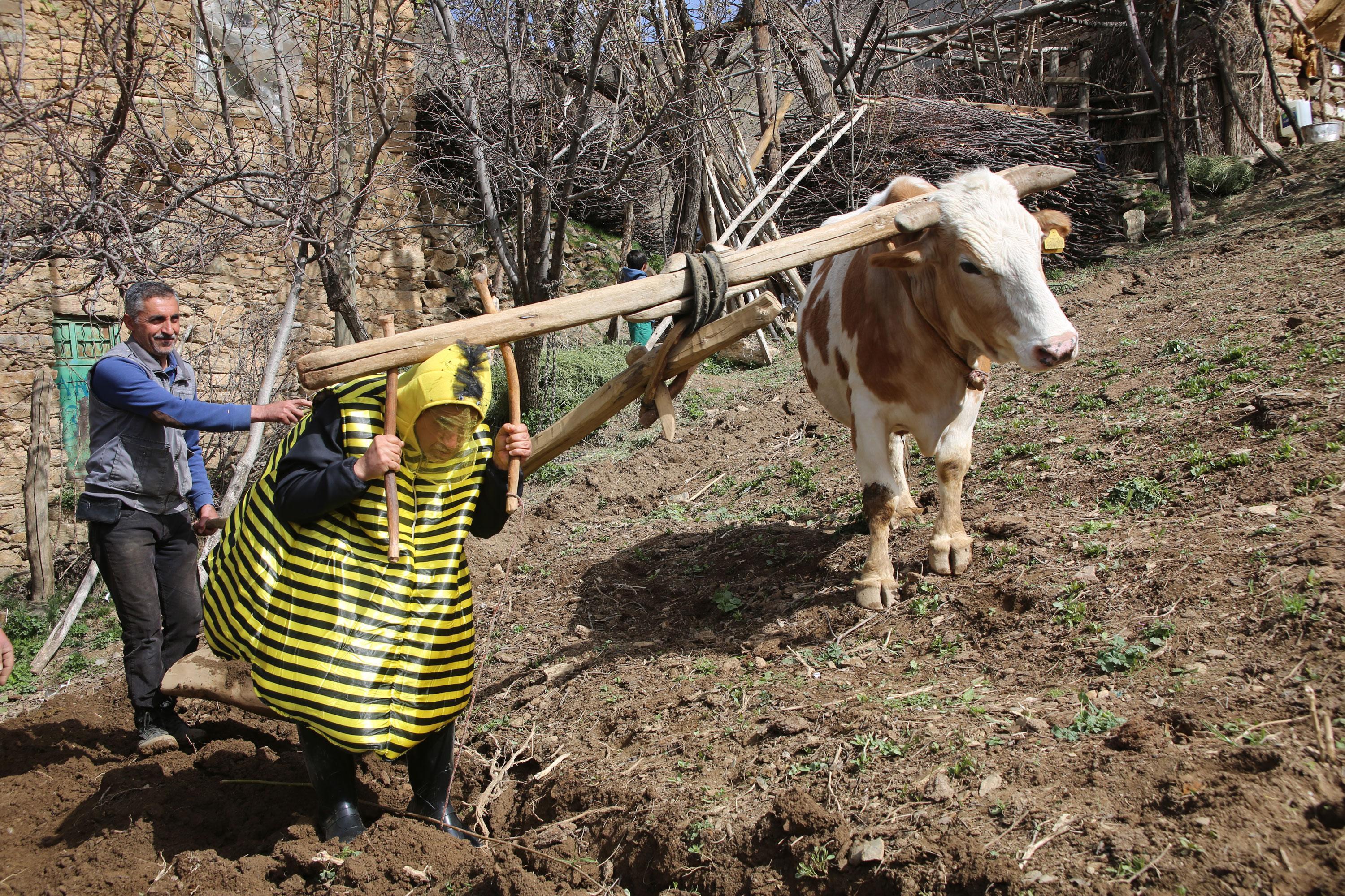 Türkücü Aydın Aydın, arı ölümlerine dikkat çekmek için arı kostümü giydi