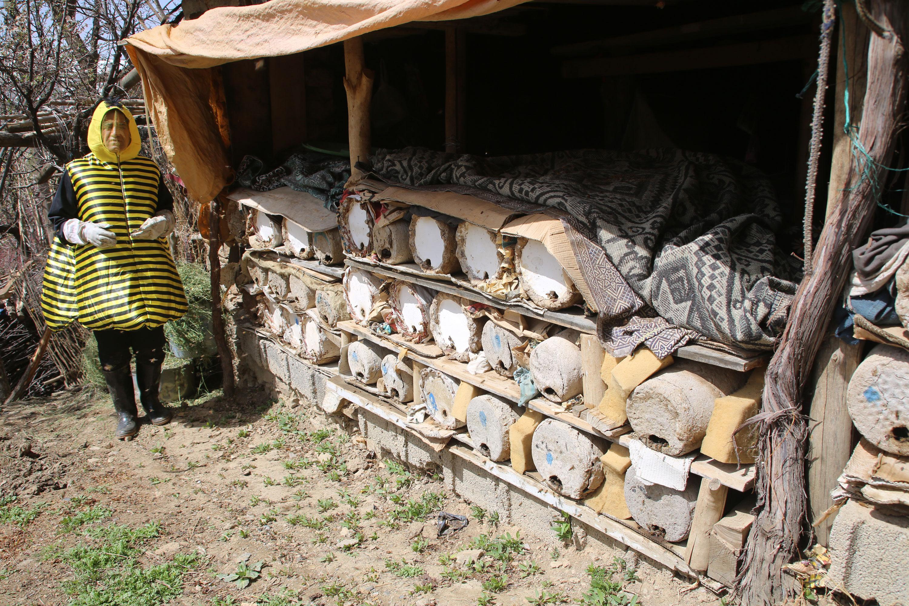 Türkücü Aydın Aydın, arı ölümlerine dikkat çekmek için arı kostümü giydi