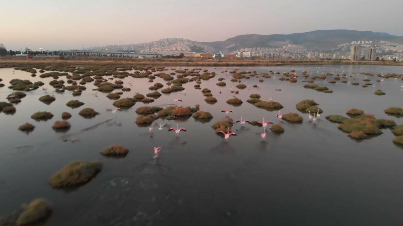 İzmir Kuş Cennetinde gün batımı güzelliği